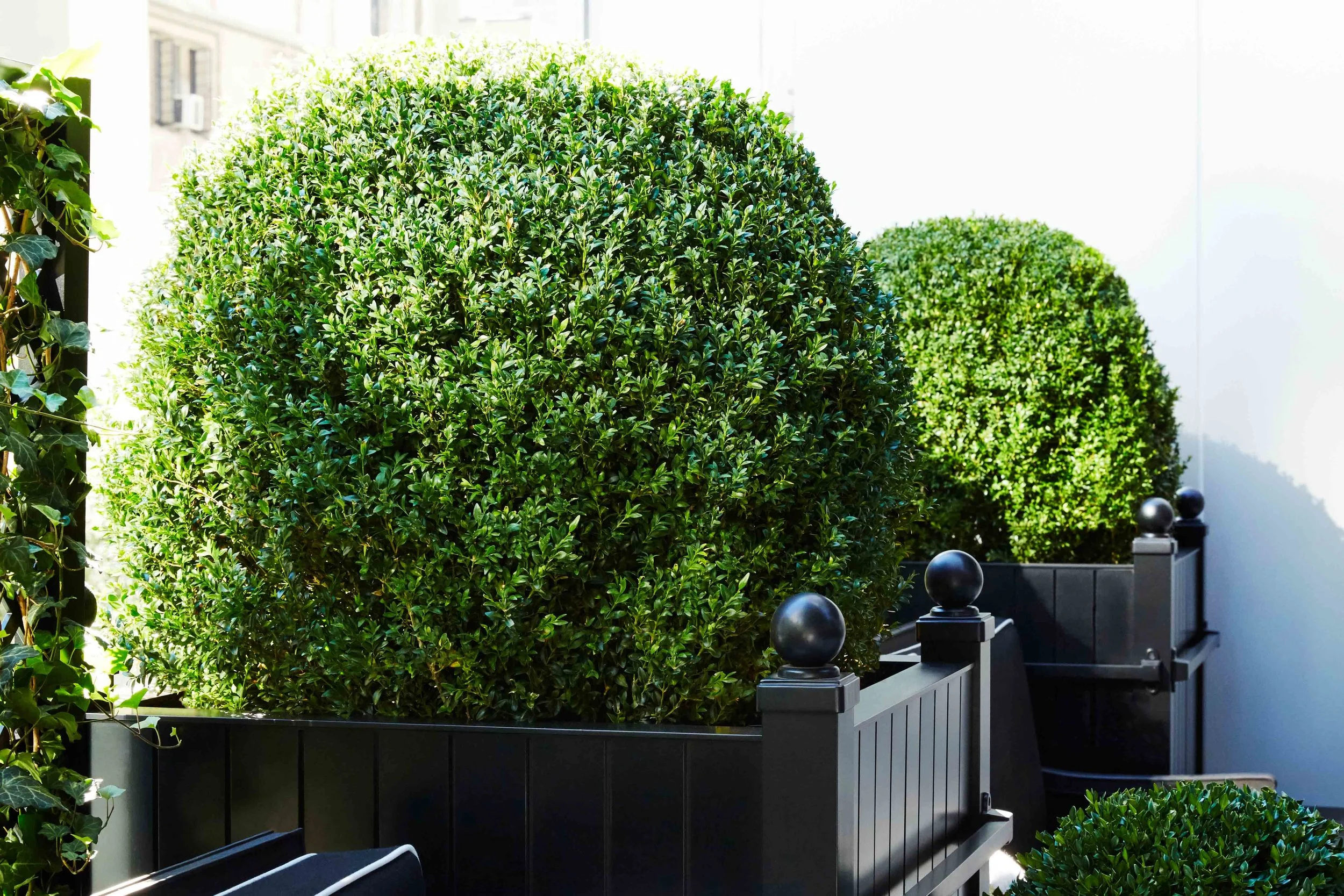 Baccarat Hotel NYC Harrison Green Planterworx Classic Matte Black Powder Coated Aluminum