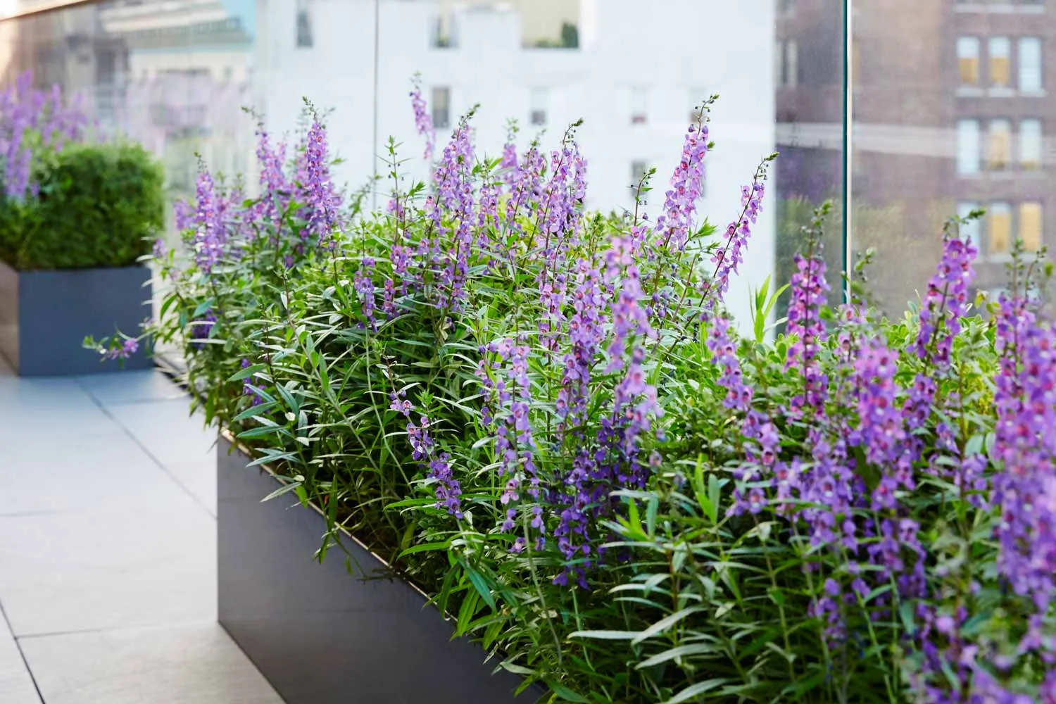 Downtown Terrace The Standard Planter Carbon Powder Coated Aluminum