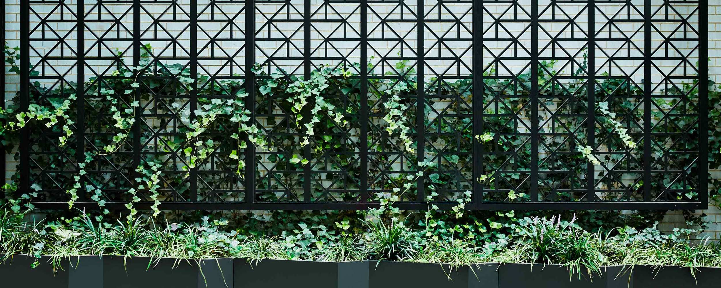 West 50th St. Harrison Green Site Screen Matte Black Powder Coated Aluminum