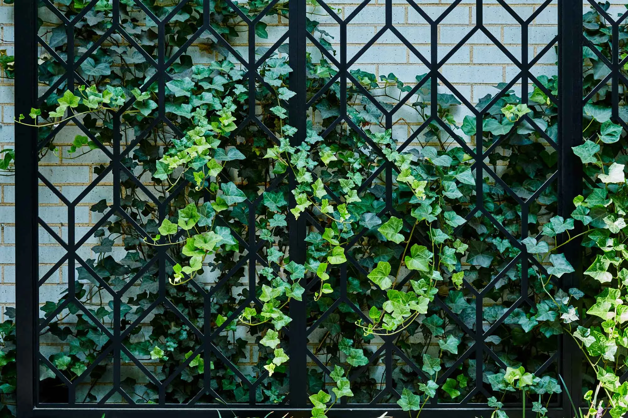 West 50th St. Harrison Green Site Screen Matte Black Powder Coated Aluminum