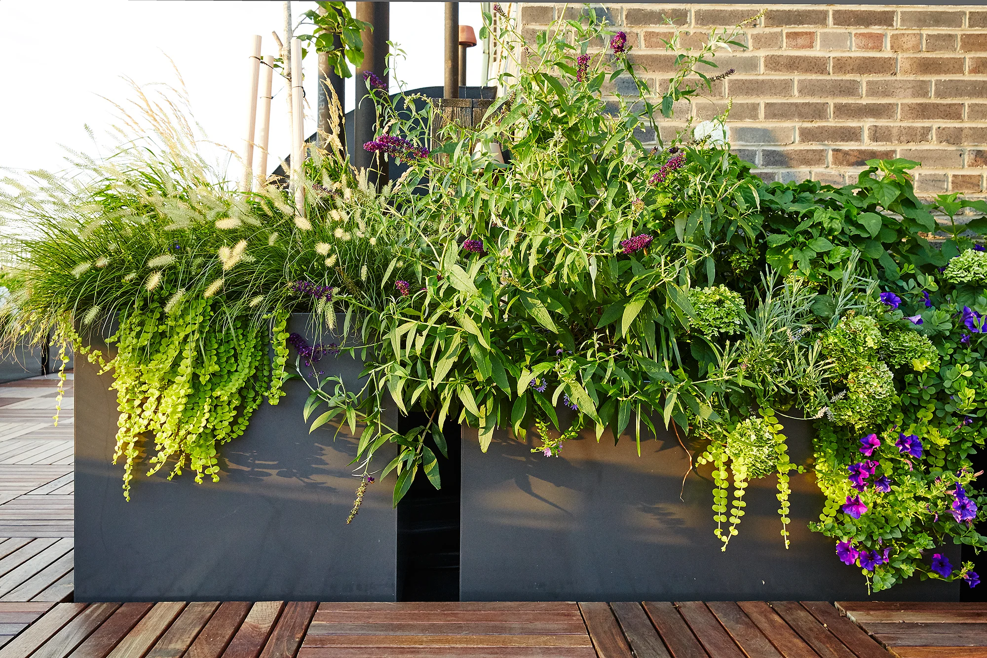Buds The Standard Planter Carbon Powder Coated Aluminum