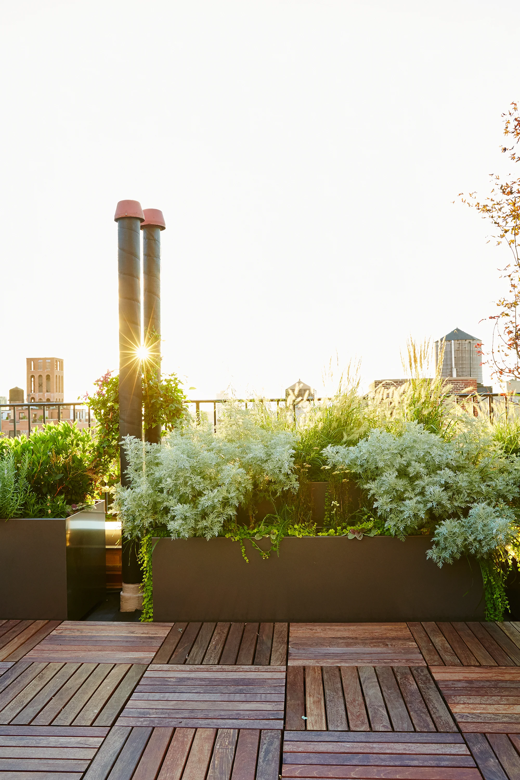 Buds The Standard Planter Carbon Powder Coated Aluminum
