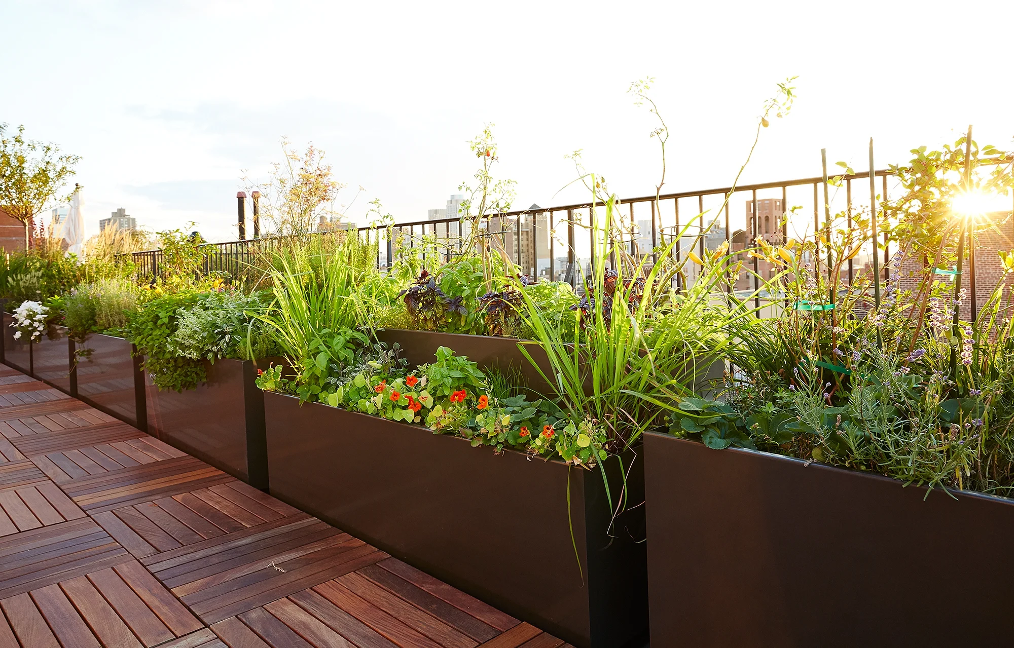 Buds The Standard Planter Carbon Powder Coated Aluminum