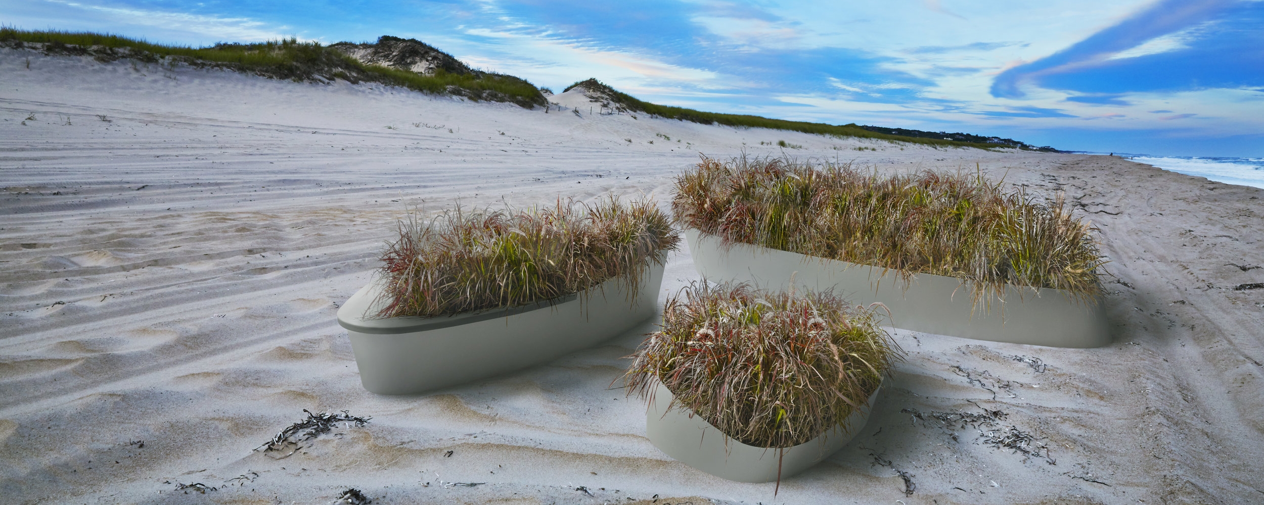1 dune 2015-0921_dunes-hero-plants-090_REV4.jpg