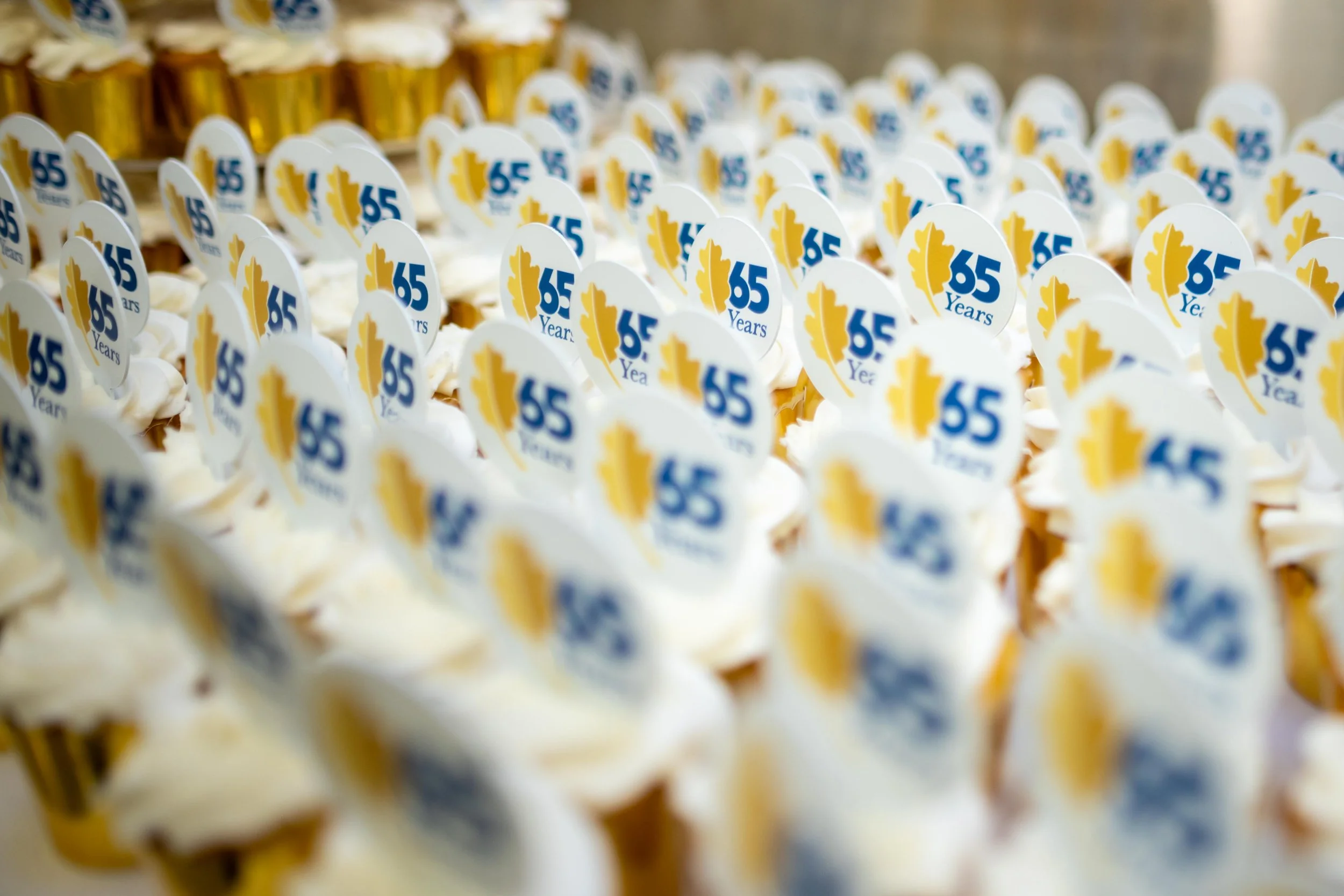 Anniversary Picnic 2025-1.jpg