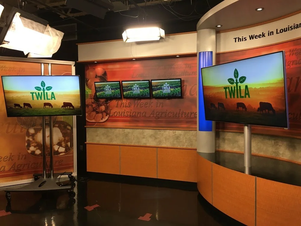Television Set Graphics