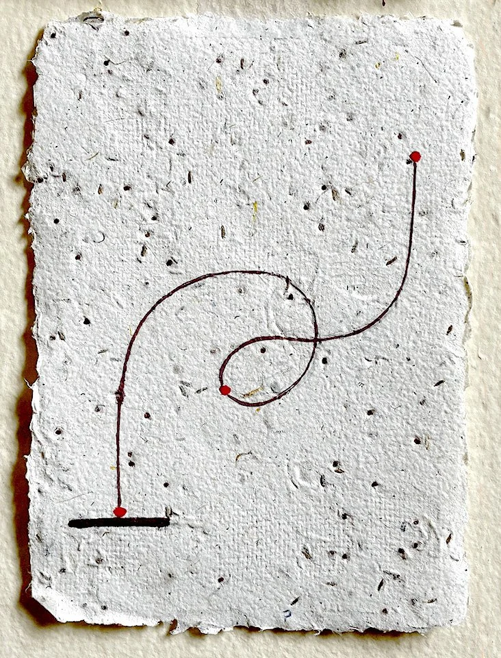 winddispersal copy.jpg