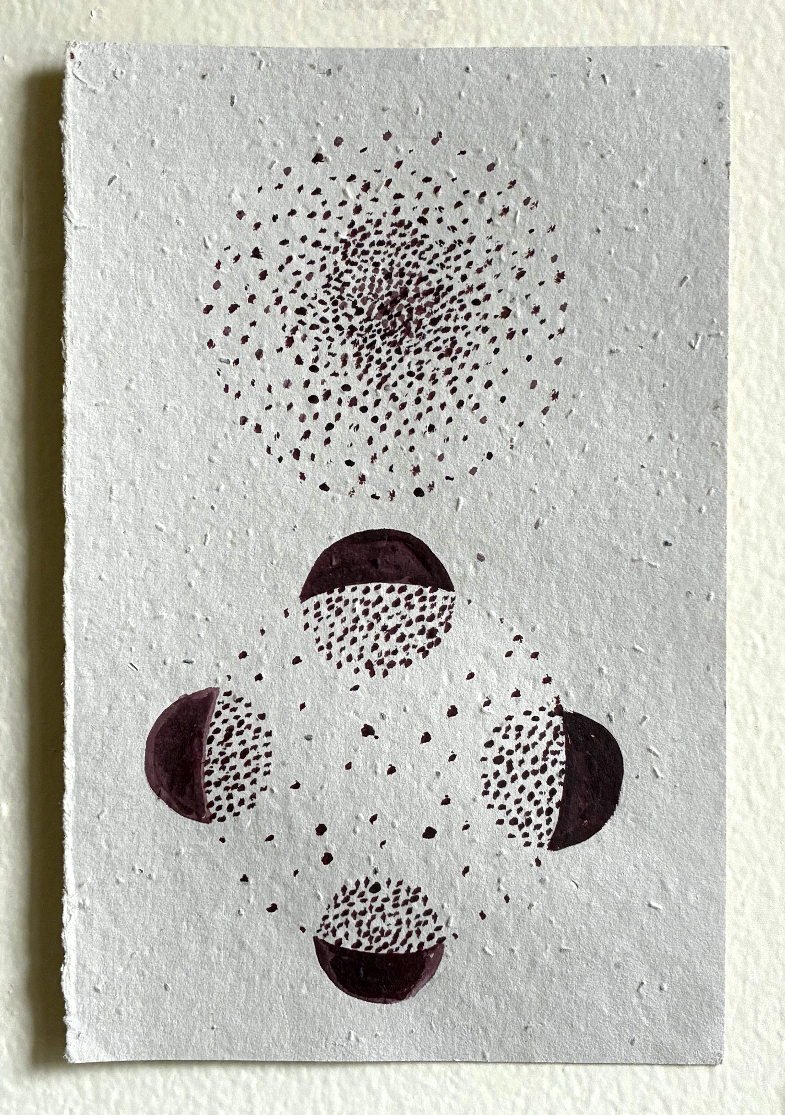 seedownership_original copy.jpg