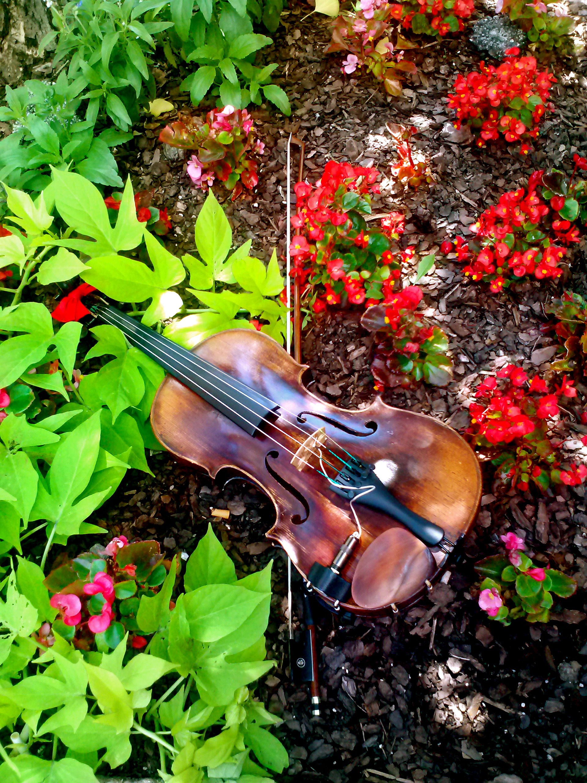Boston Celtic Music Festival