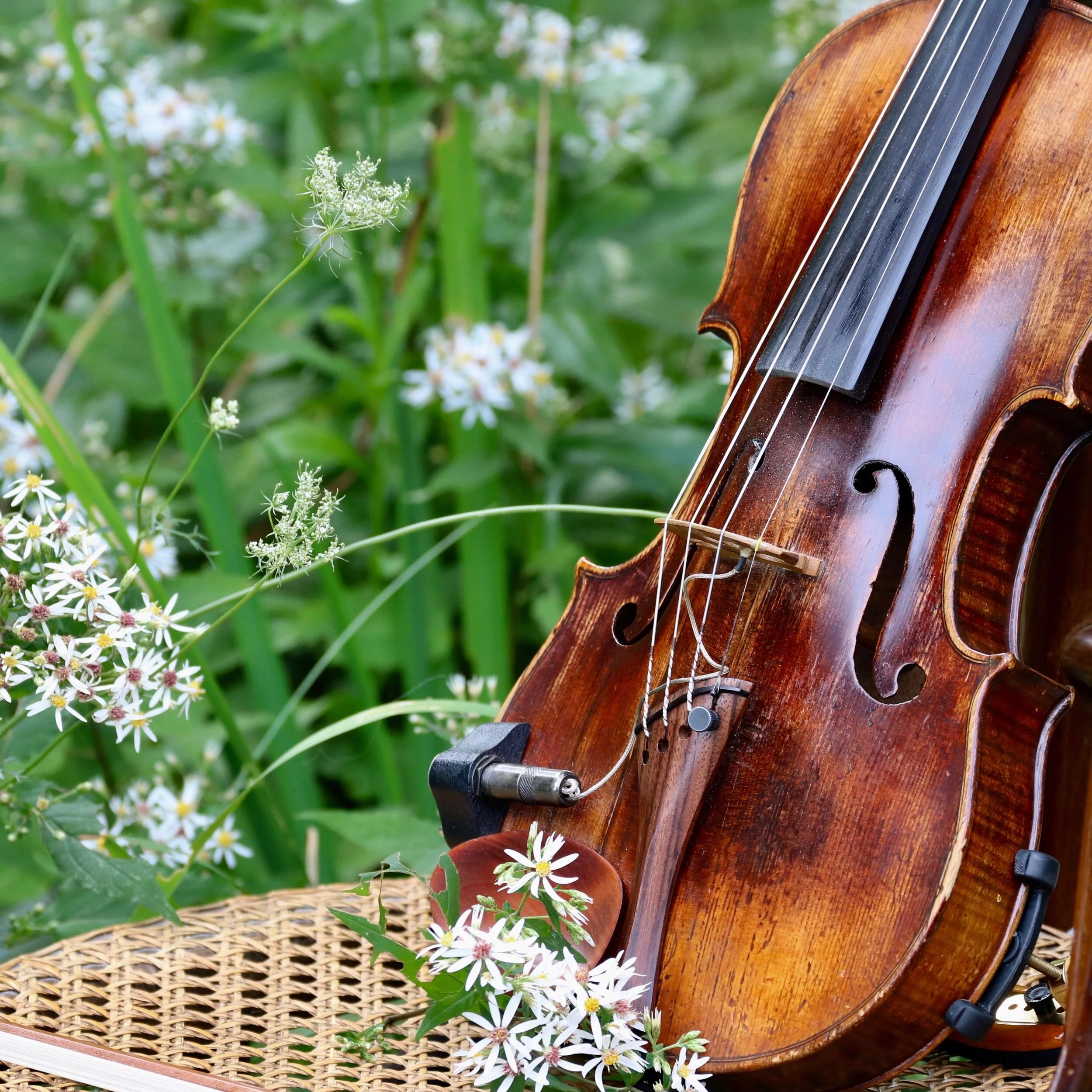 Central Square Farmer's Markt
