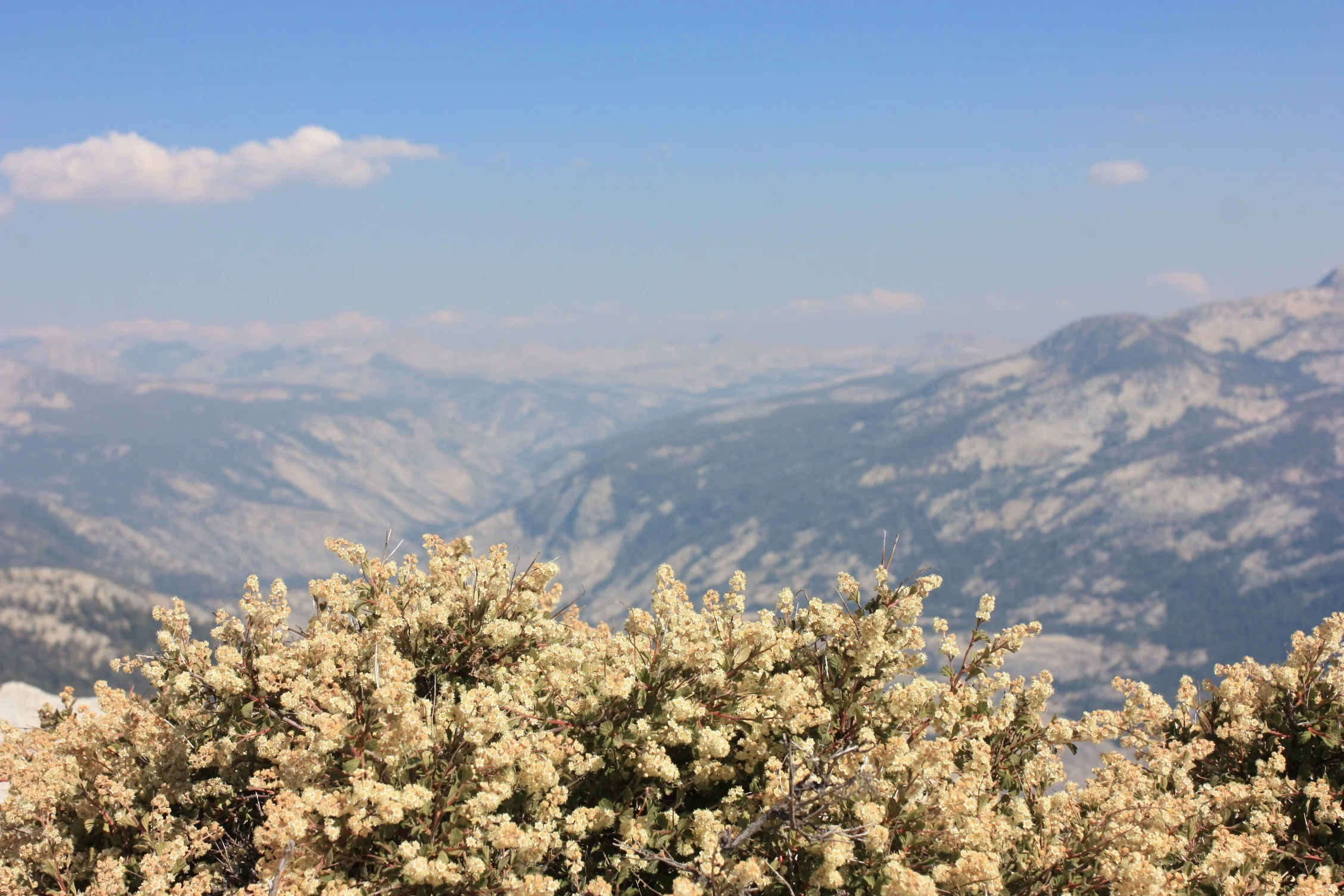 cloud's rest in yosemite national park