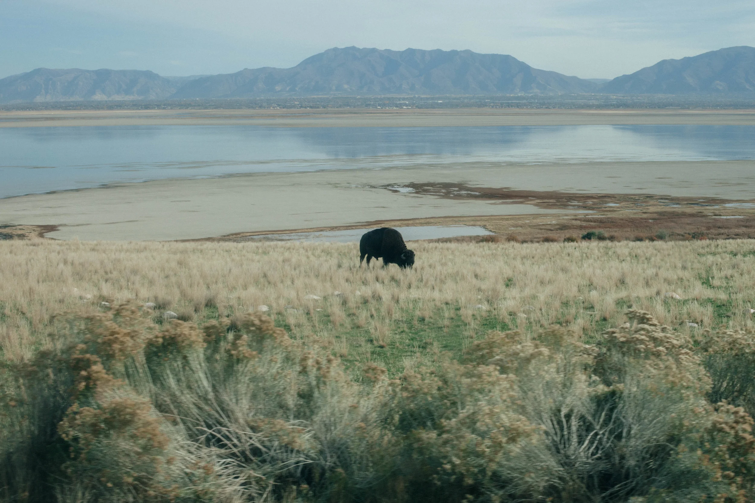 Antelope Island x Stetson 
