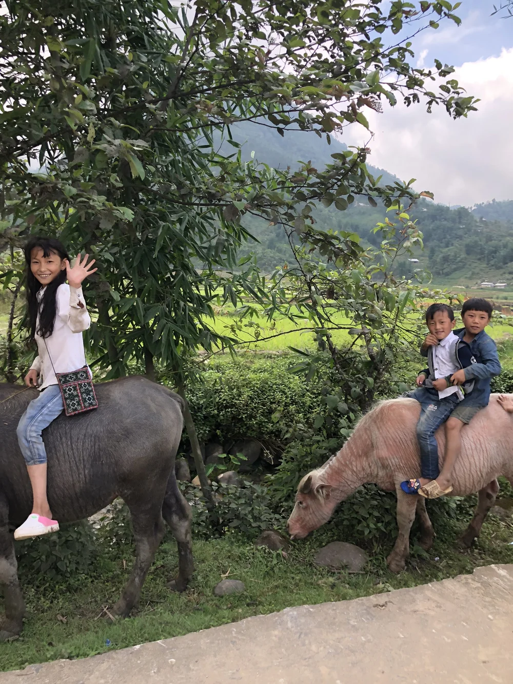 Kids in Sapa