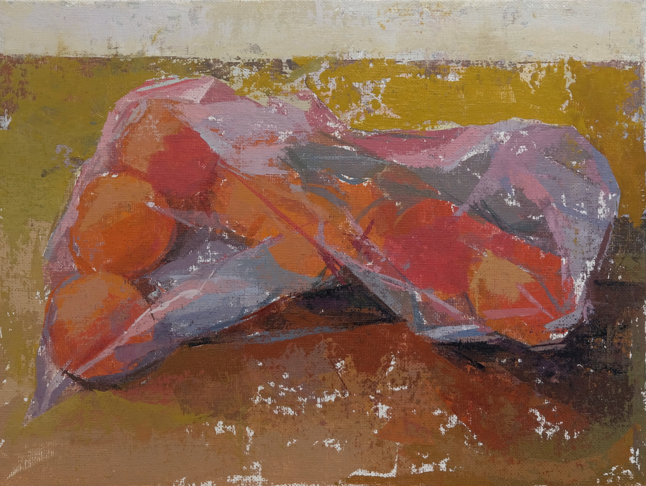 a scherer Oranges in Pink Bag acrylic on canvas board 9x12 inches.JPG