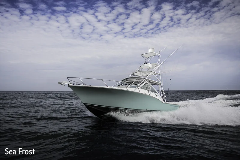 5 - 32 - Sea Frost.jpg