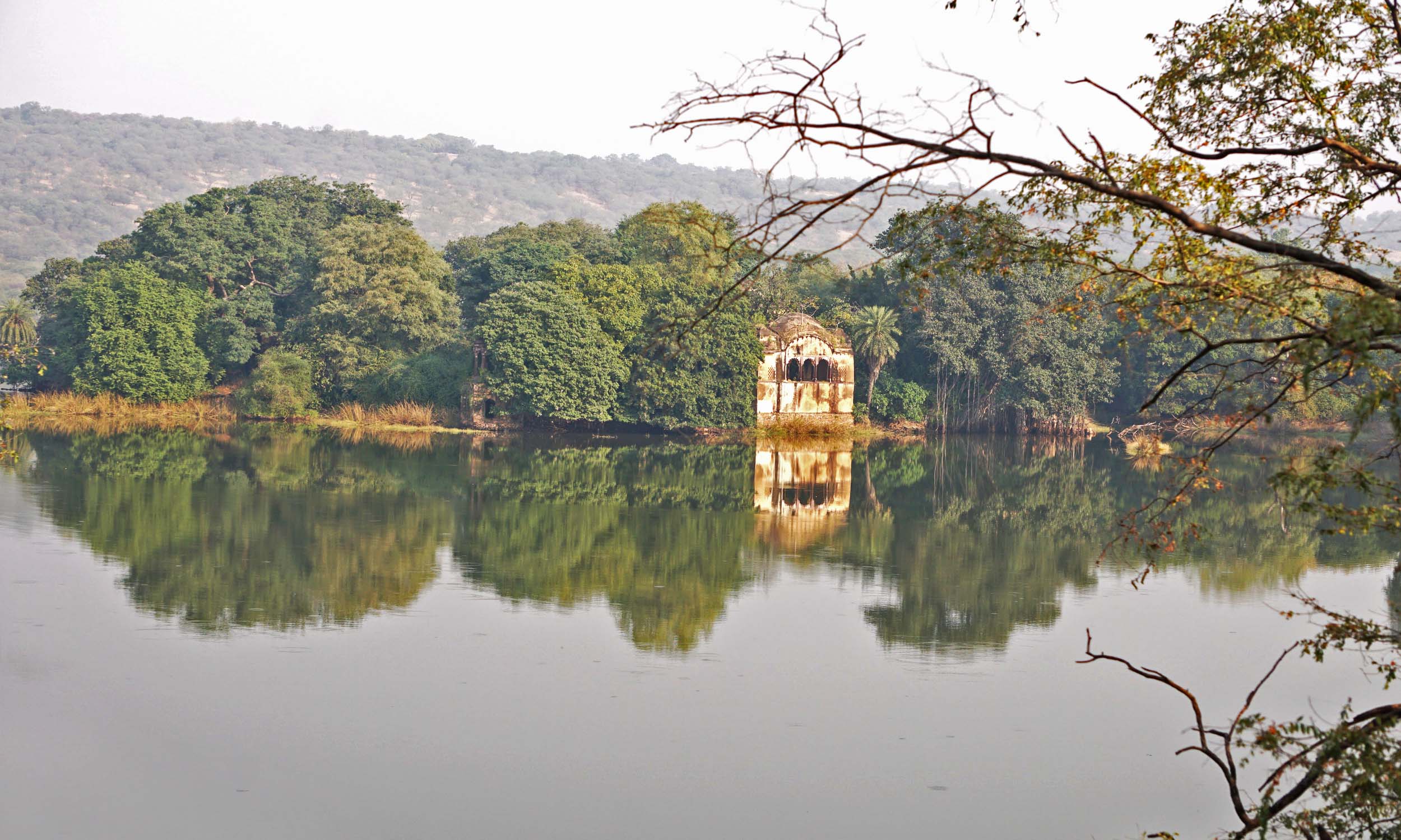 india_ramthambore.jpg