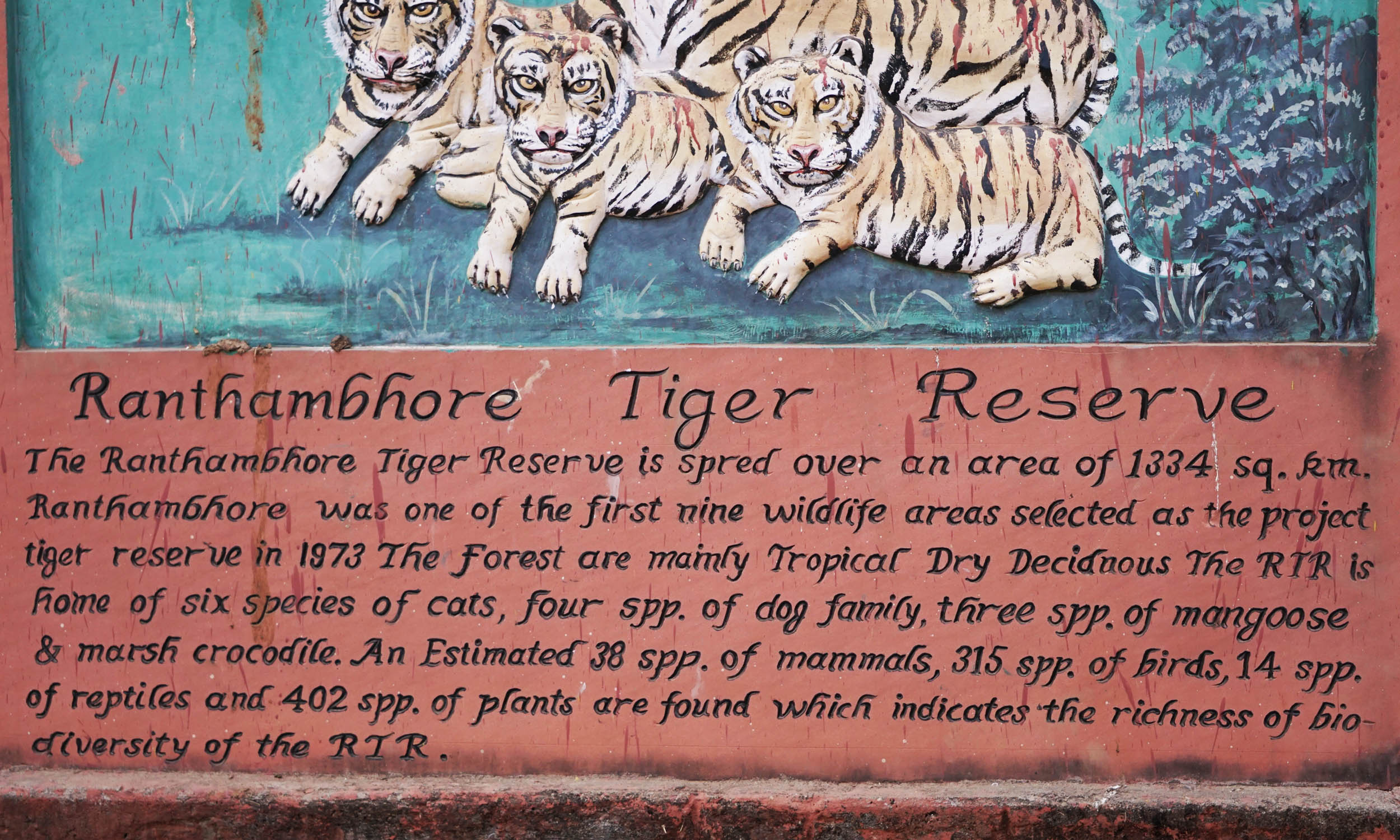 ranthambore tiger reserve.jpg