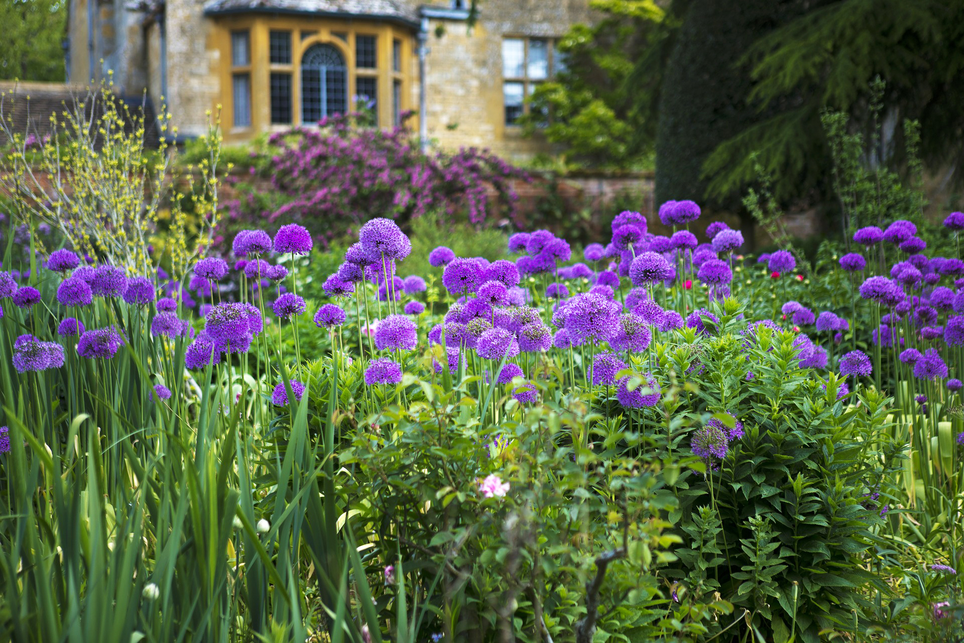 hidcote-manor-804081_1920.jpg