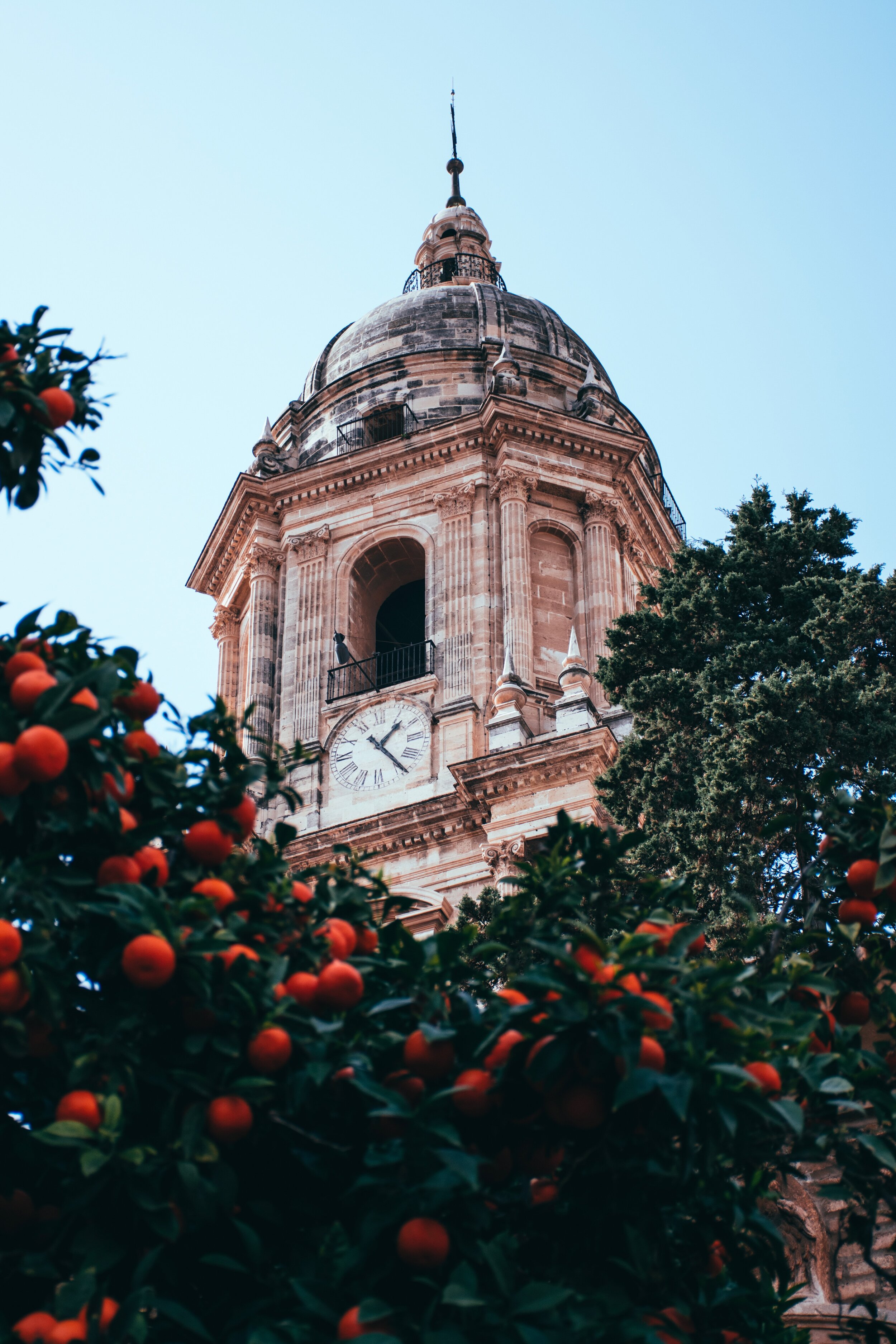 meax-OcHkEwnhKCY-unsplash.jpg