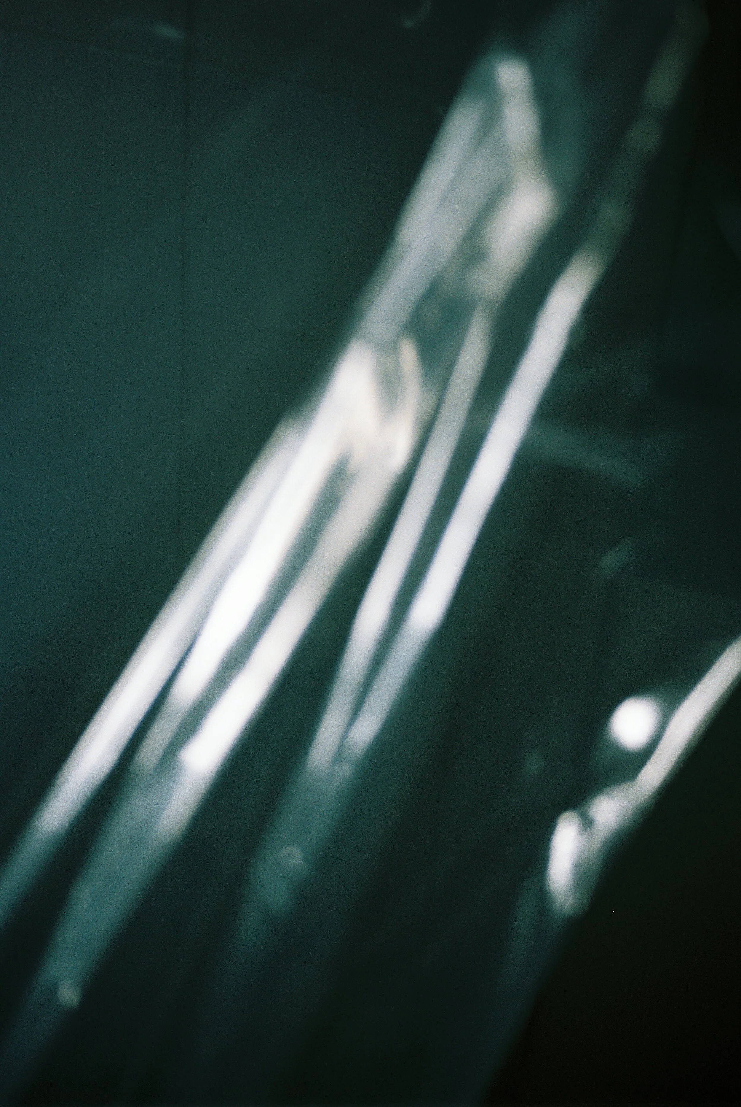 discover geekly 1.jpg