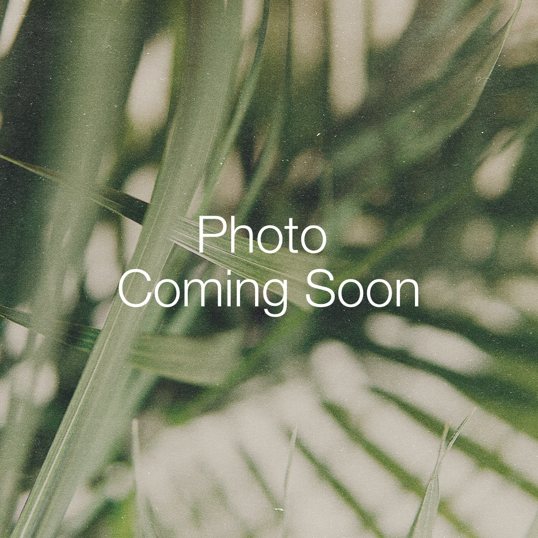 Photo Coming Soon.png
