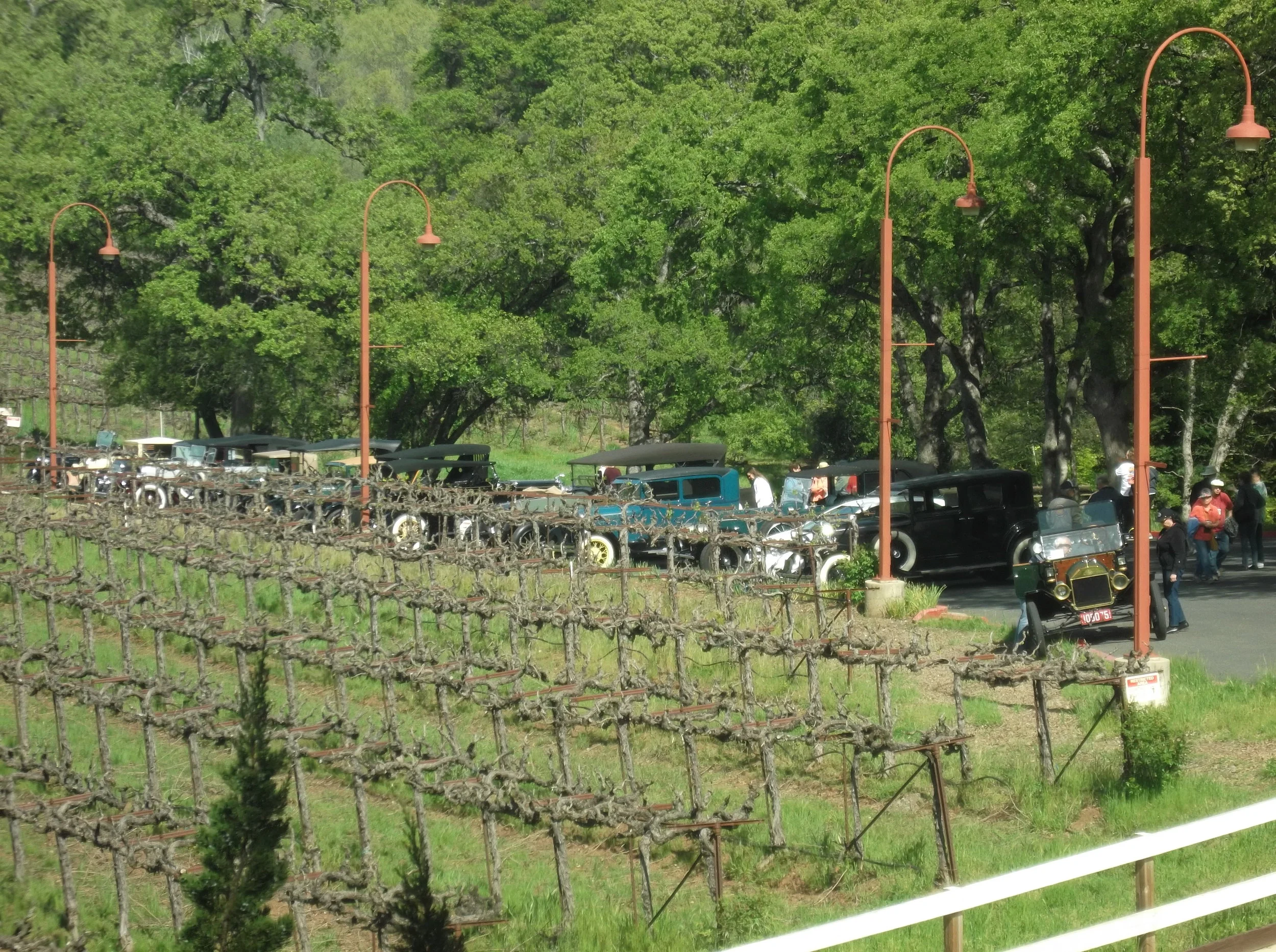 DSCF5157.JPG