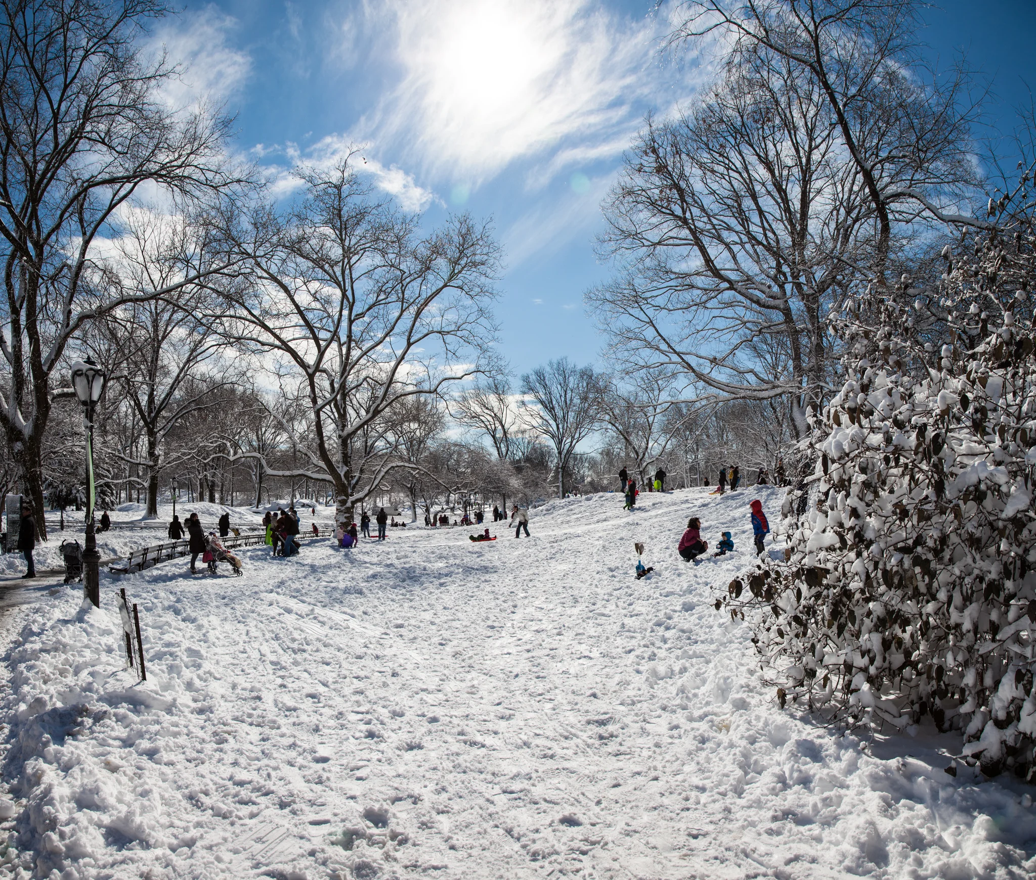 _MG_2848-Edit.jpg