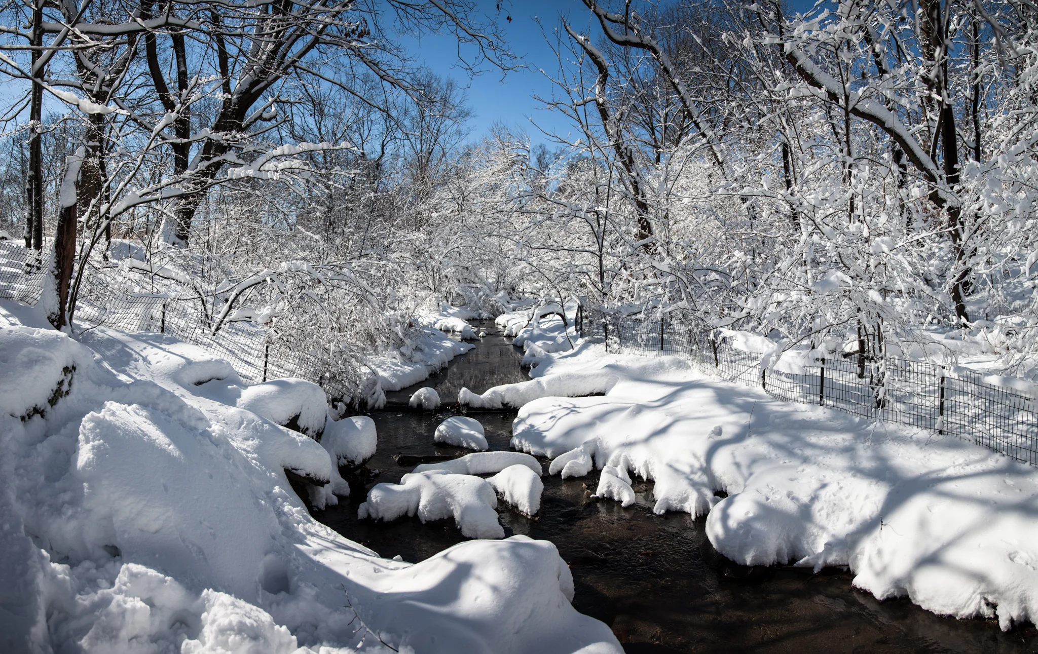 _MG_2903-Edit.jpg