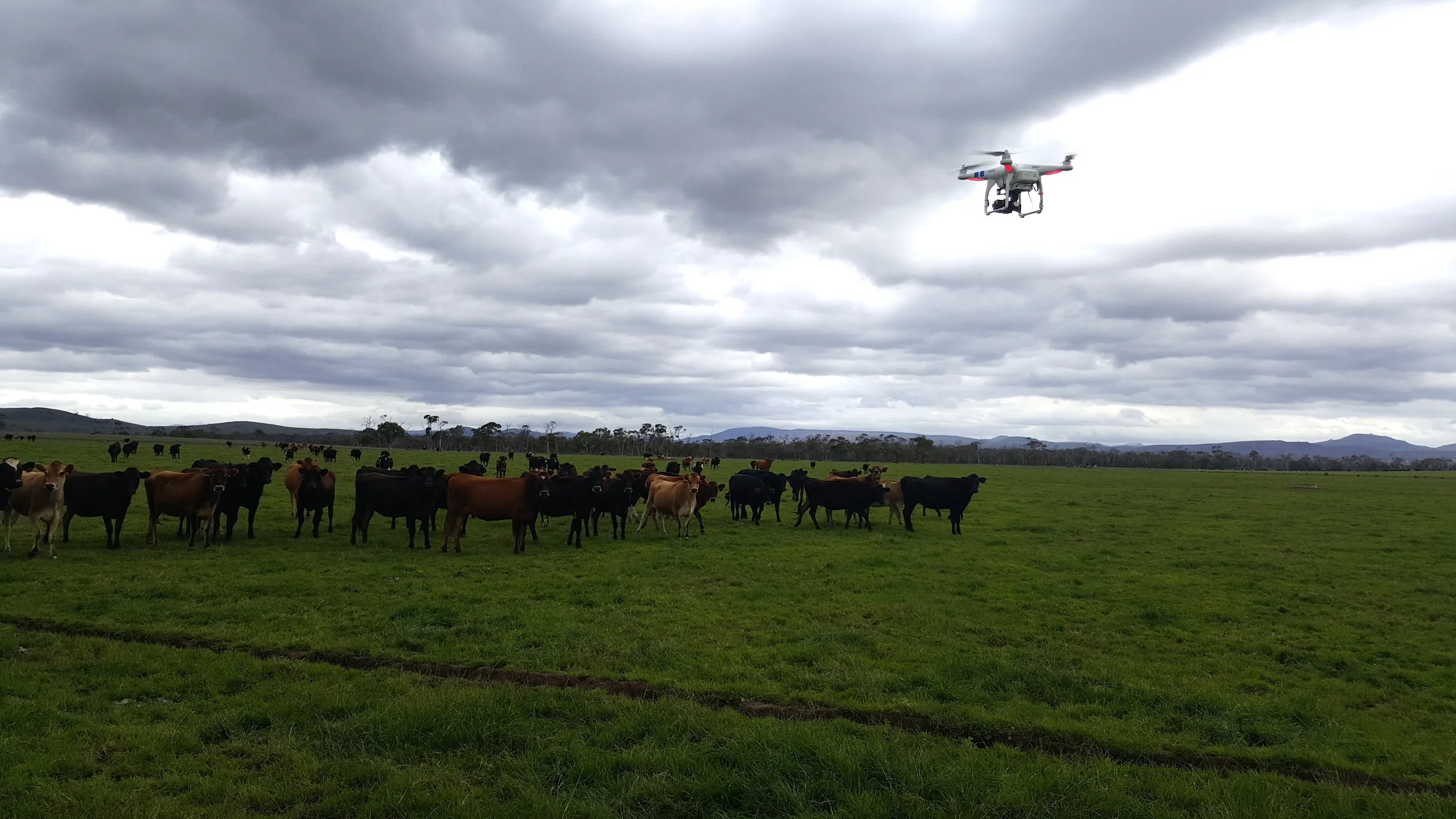 Rogues Gallery Agribusiness Stories