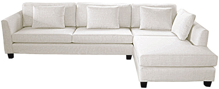 Braque with Medina cushions