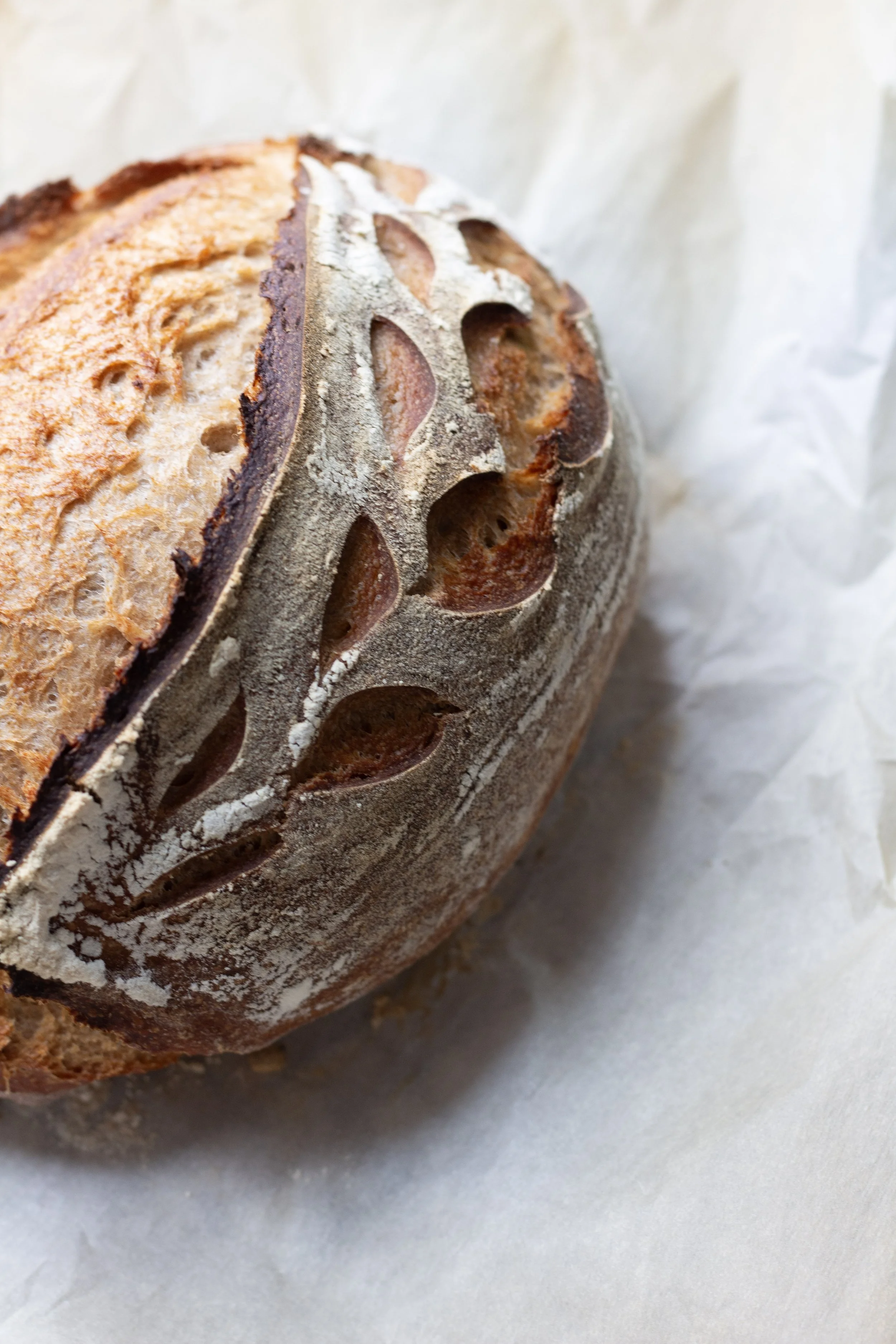 Rye Rustic Sourdough Loaf