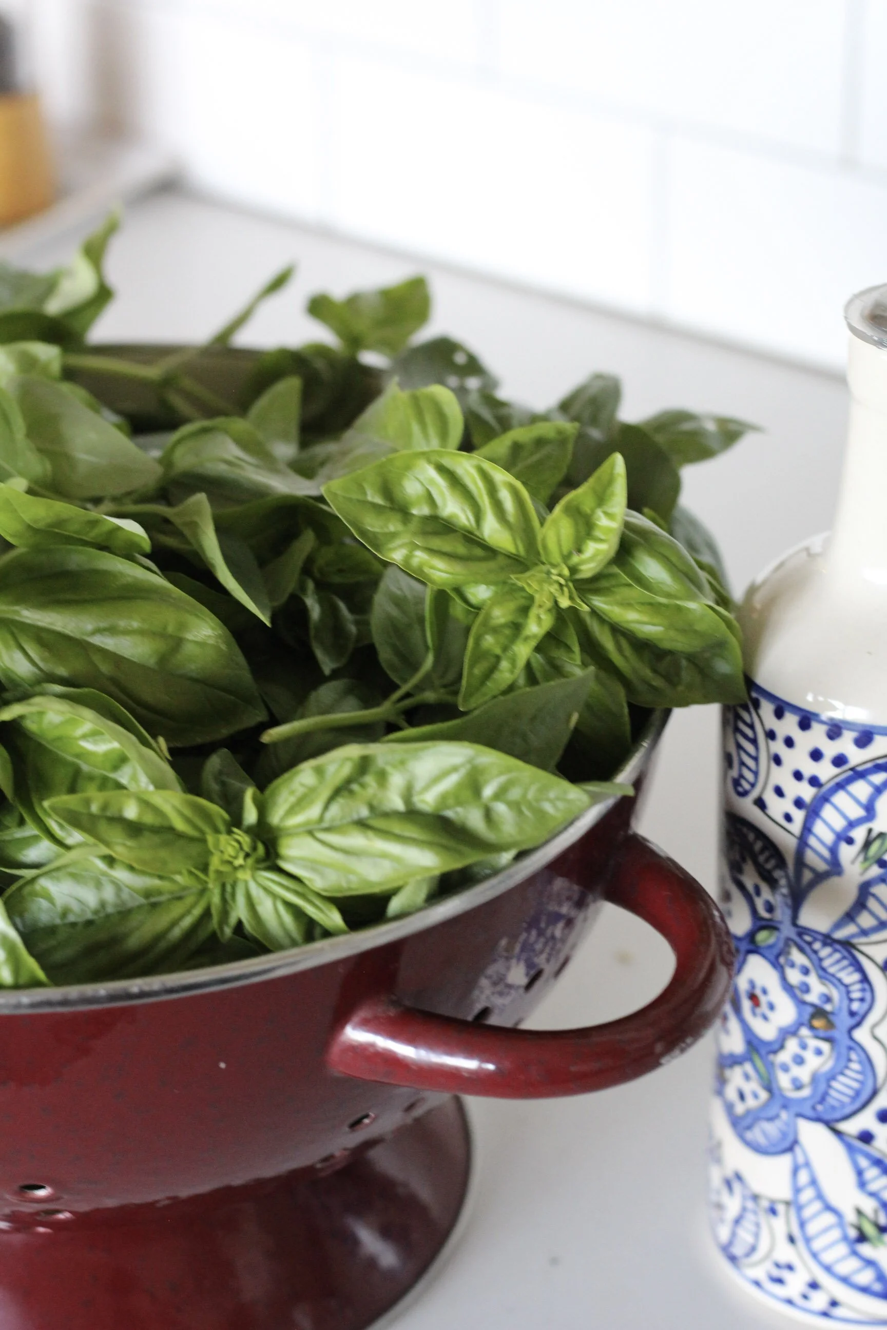 pesto basil recipe for too much fresh basil