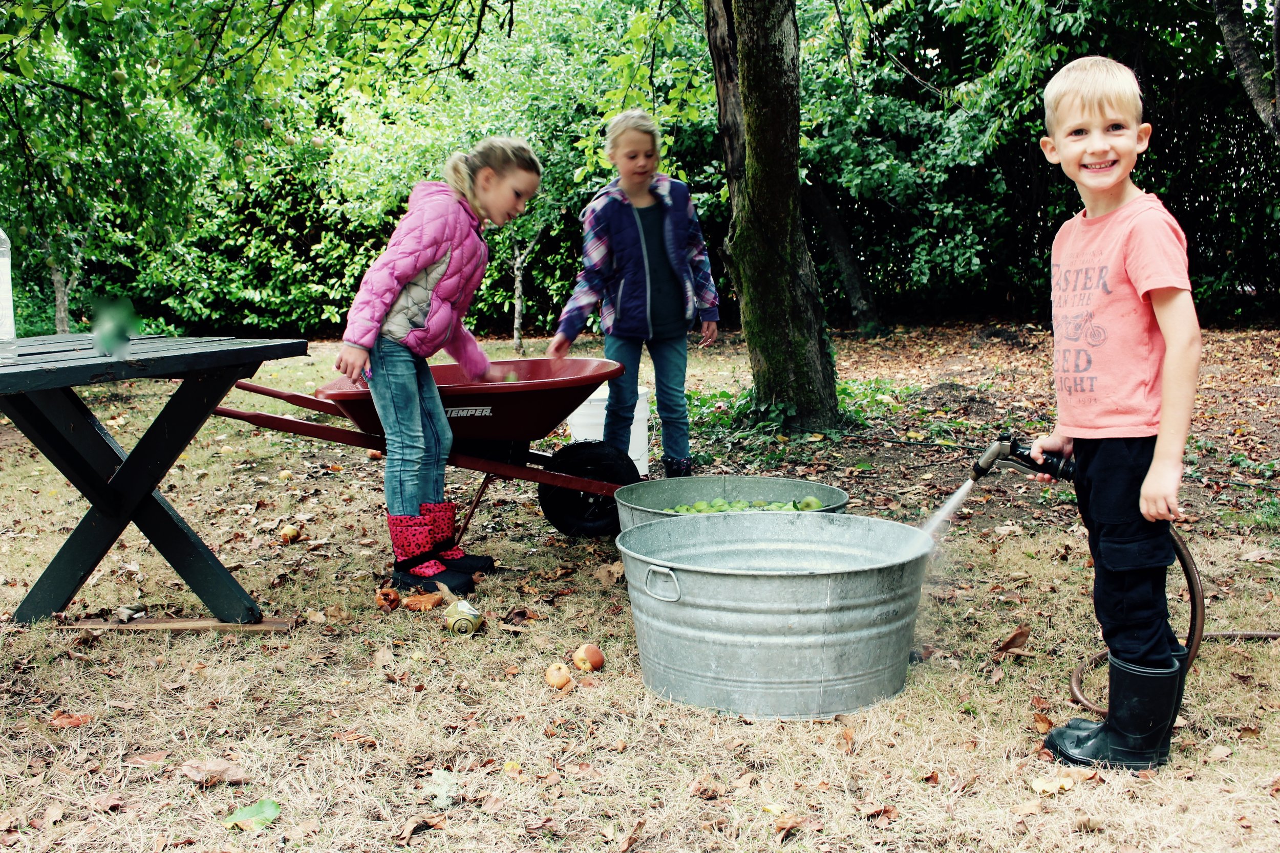CiderPressing
