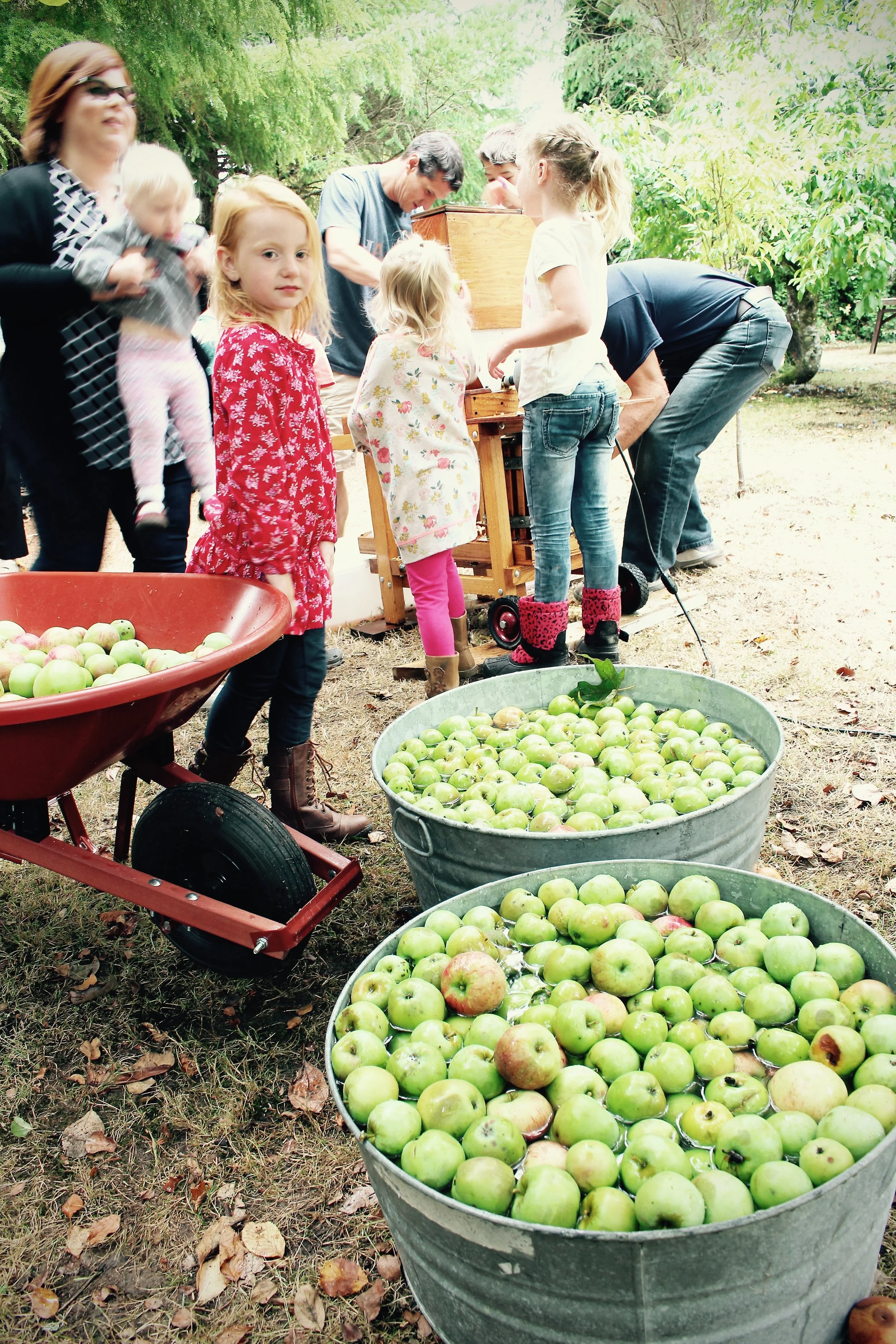 CiderPressing