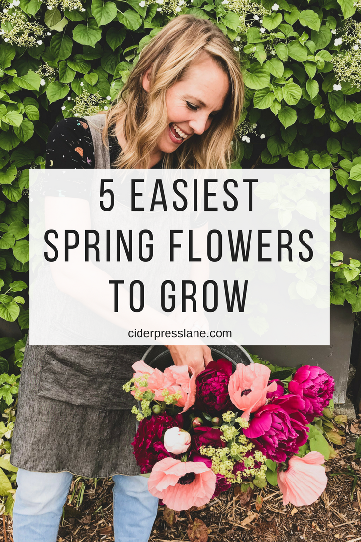 5 Easiest Spring Flowers to GROW! — ciderpress lane
