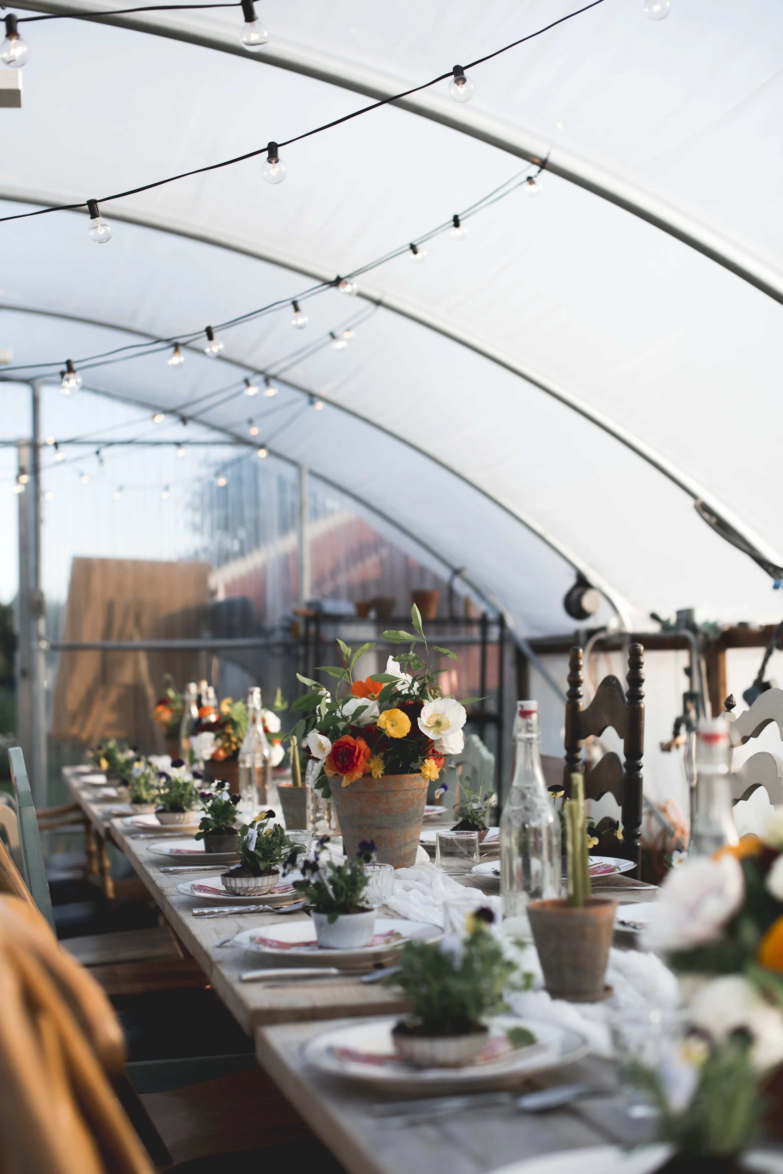 Can You REALLY Make a Difference?