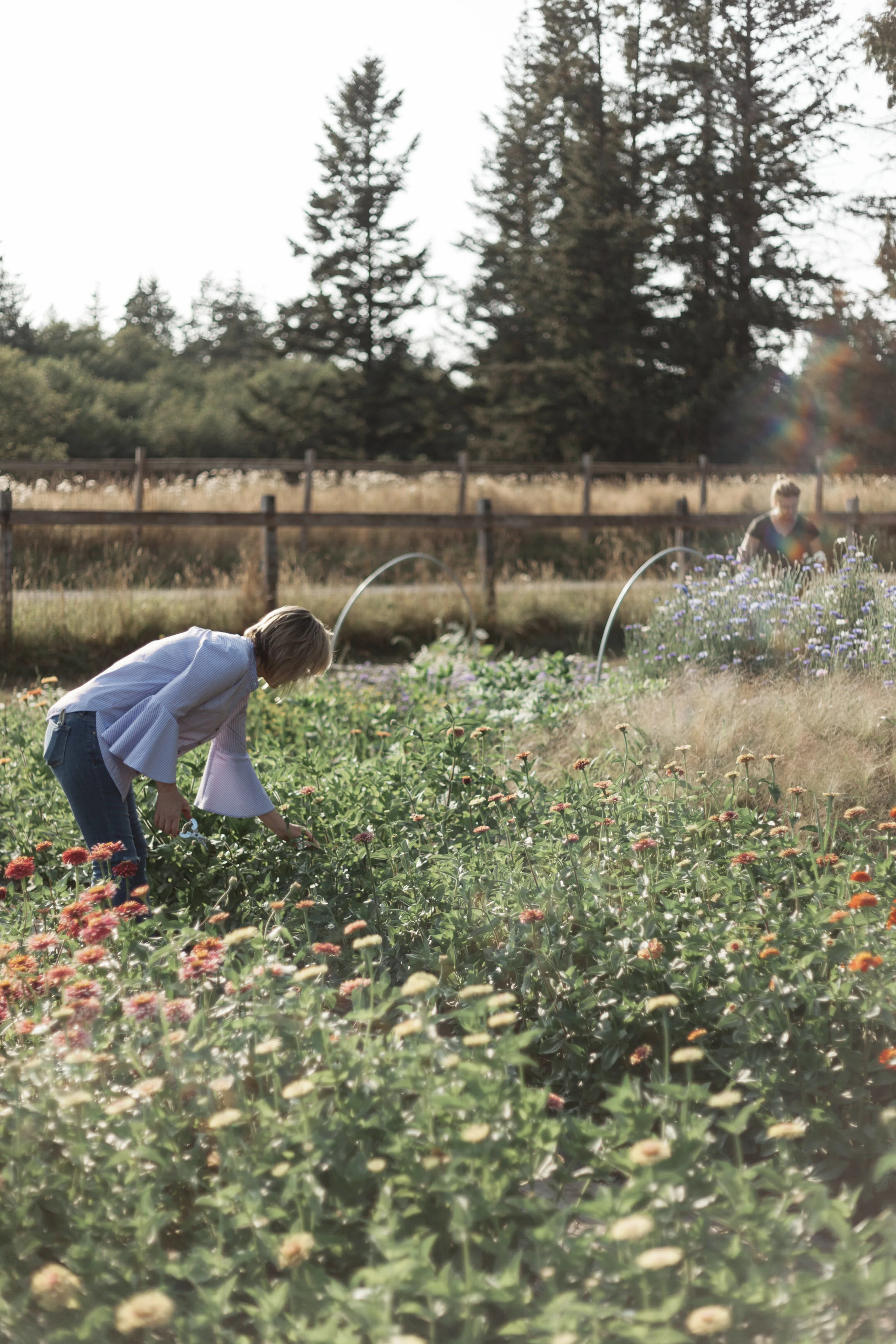 A Day on the Flower Farm : Flower Arranging Workshop