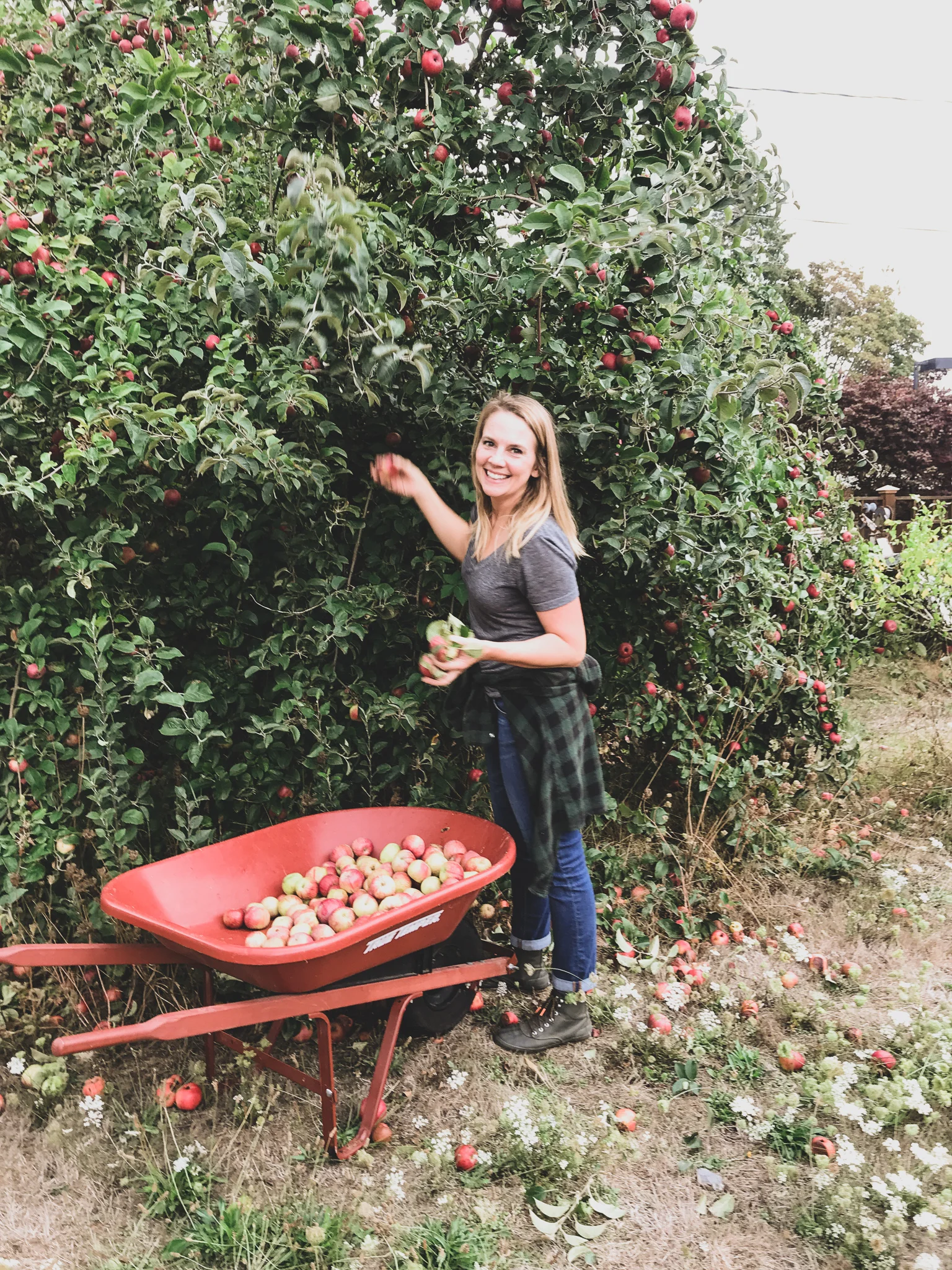 Orchard Cooking Class : Apple Sauce &amp; Pies