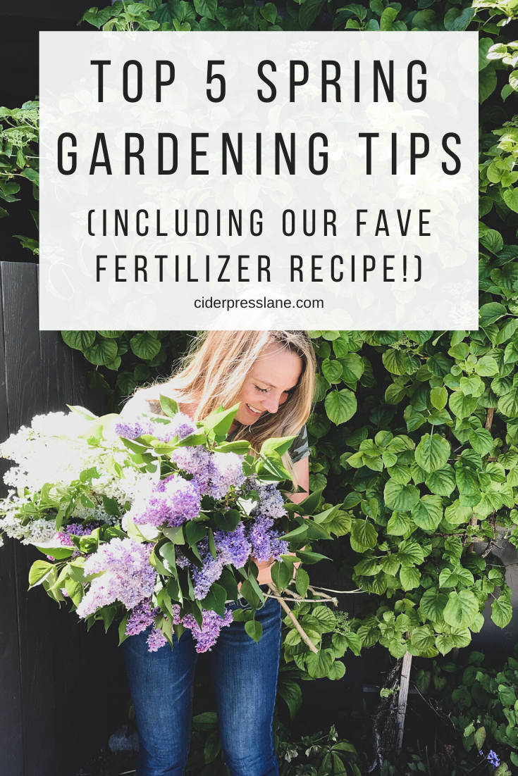 Top 5 Spring Gardening Tips (Including our fave fertilizer recipe ...