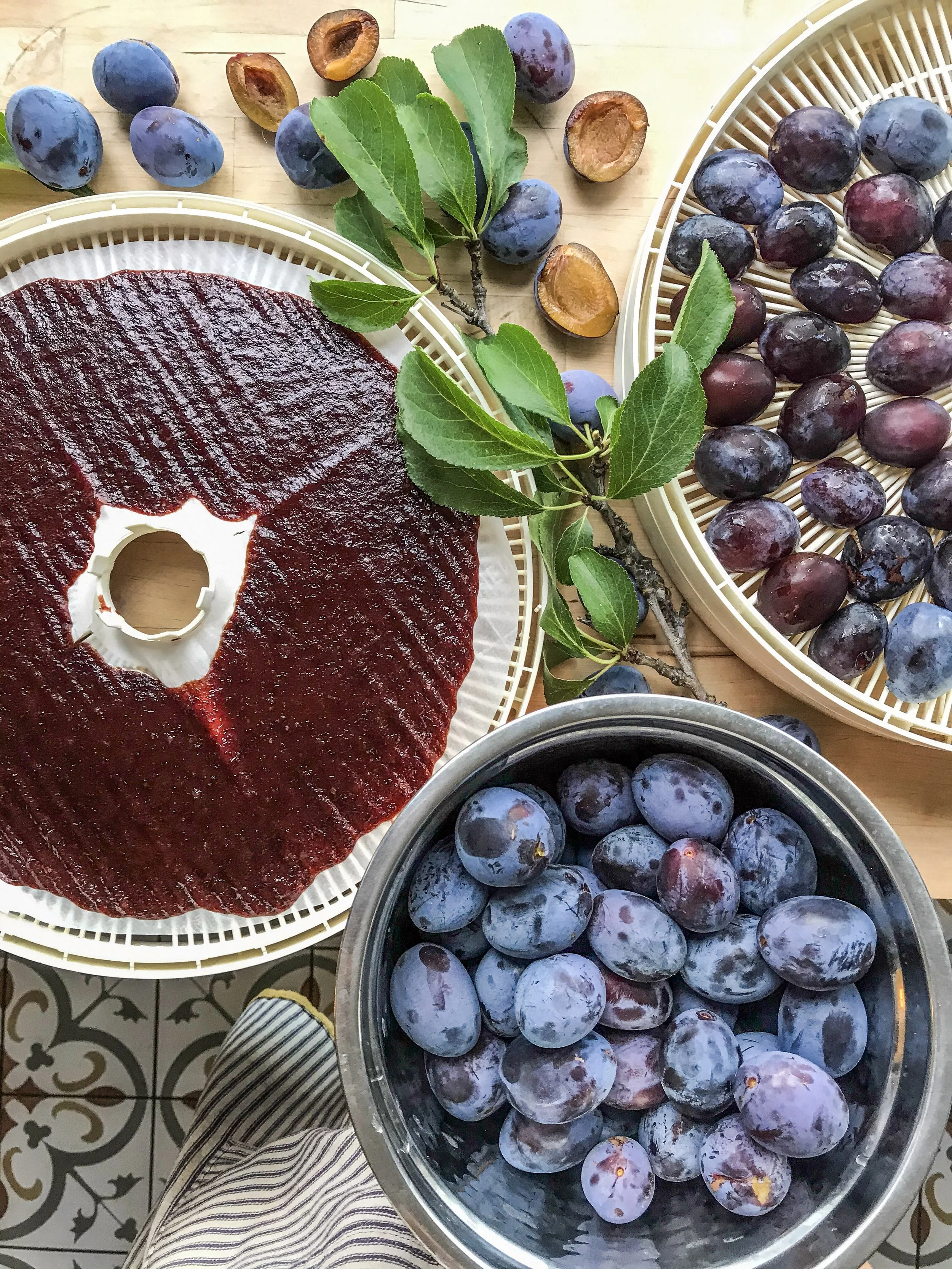 easiest plum preserving tutorial help how to