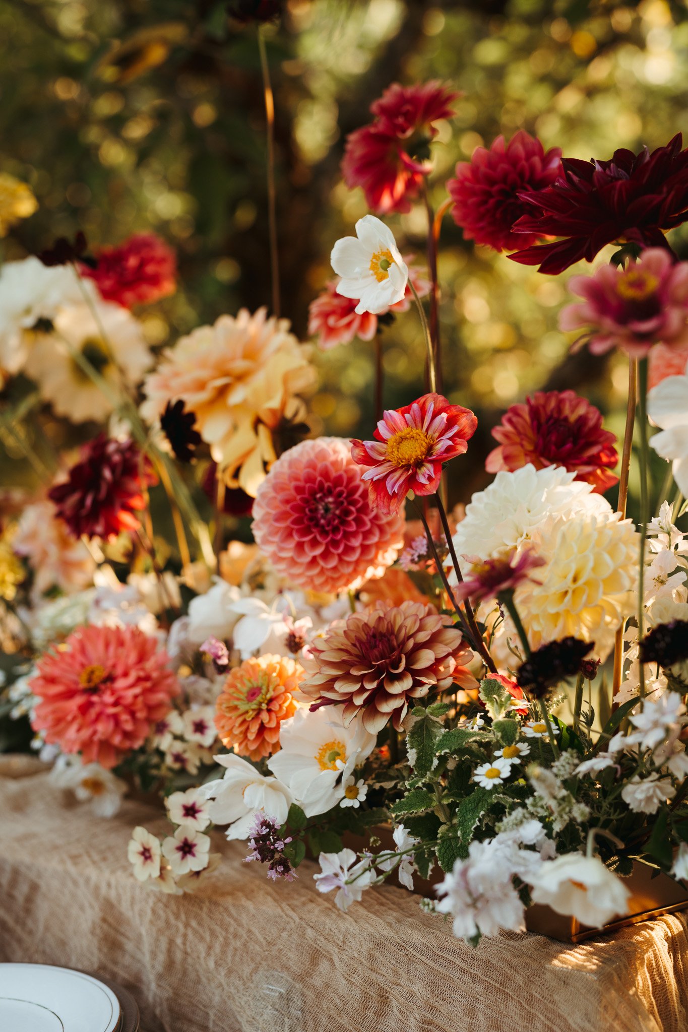 DAHLIAS