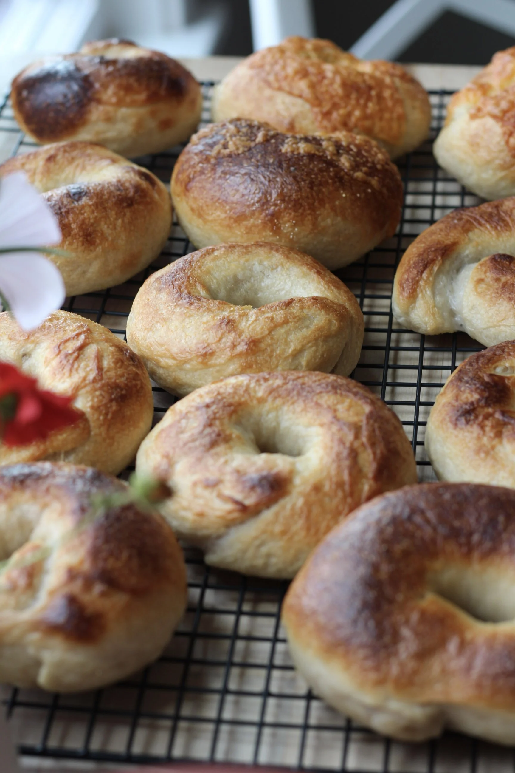 The Perfect Sourdough Bagels for Everyday Eats