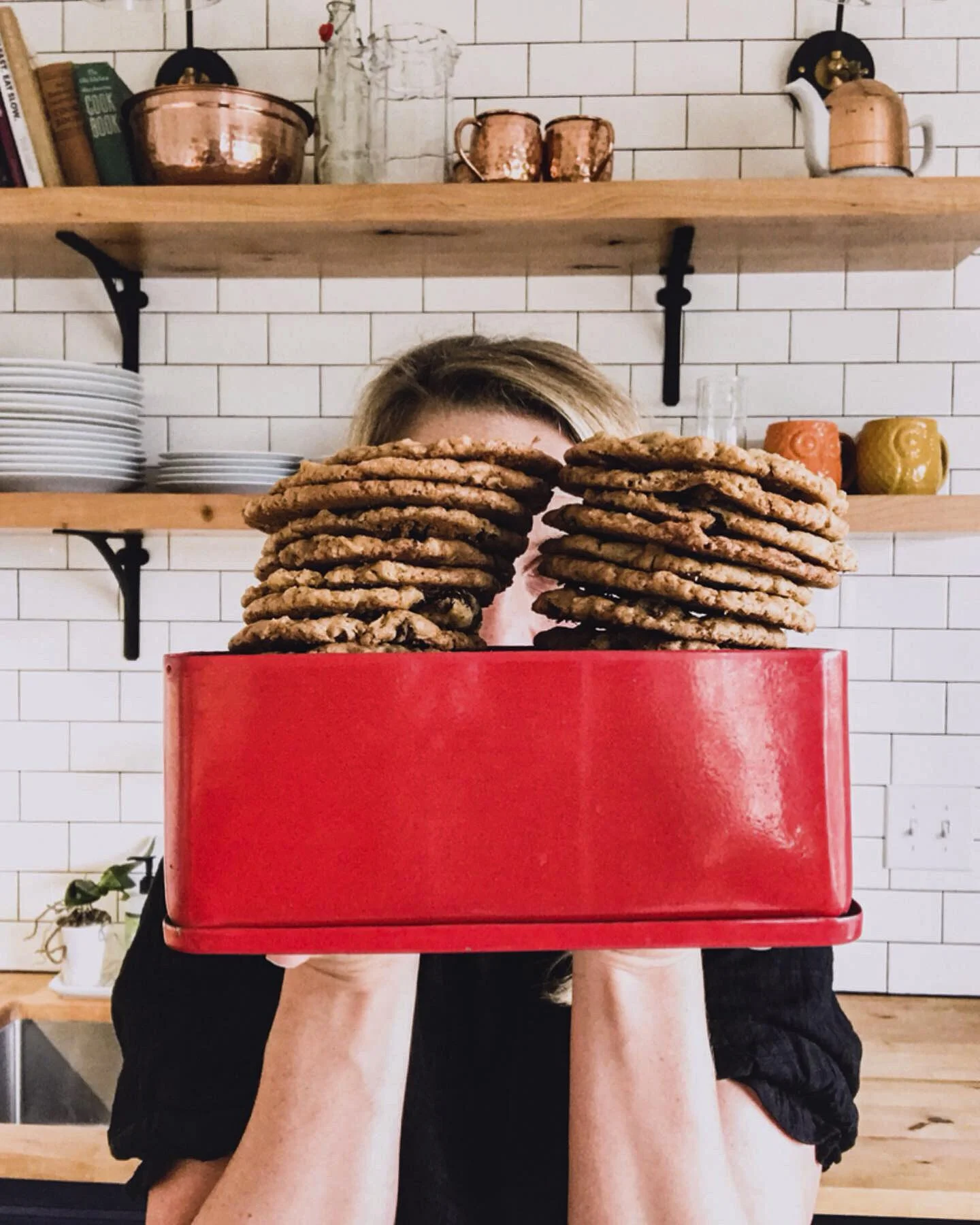 The Tastiest &amp; Softest Sourdough Discard Oatmeal Cookies  