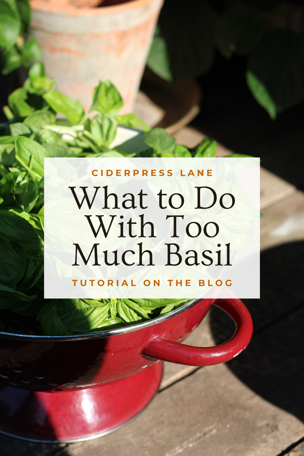 quick and easy basil recipes