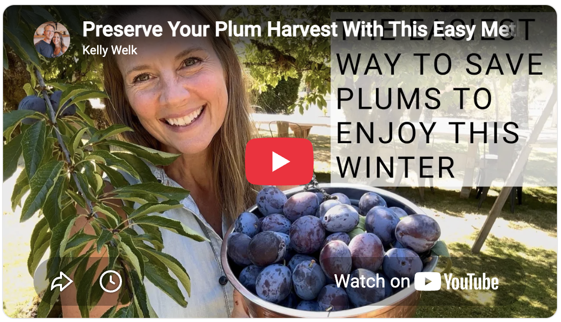 how to have dried plums all year