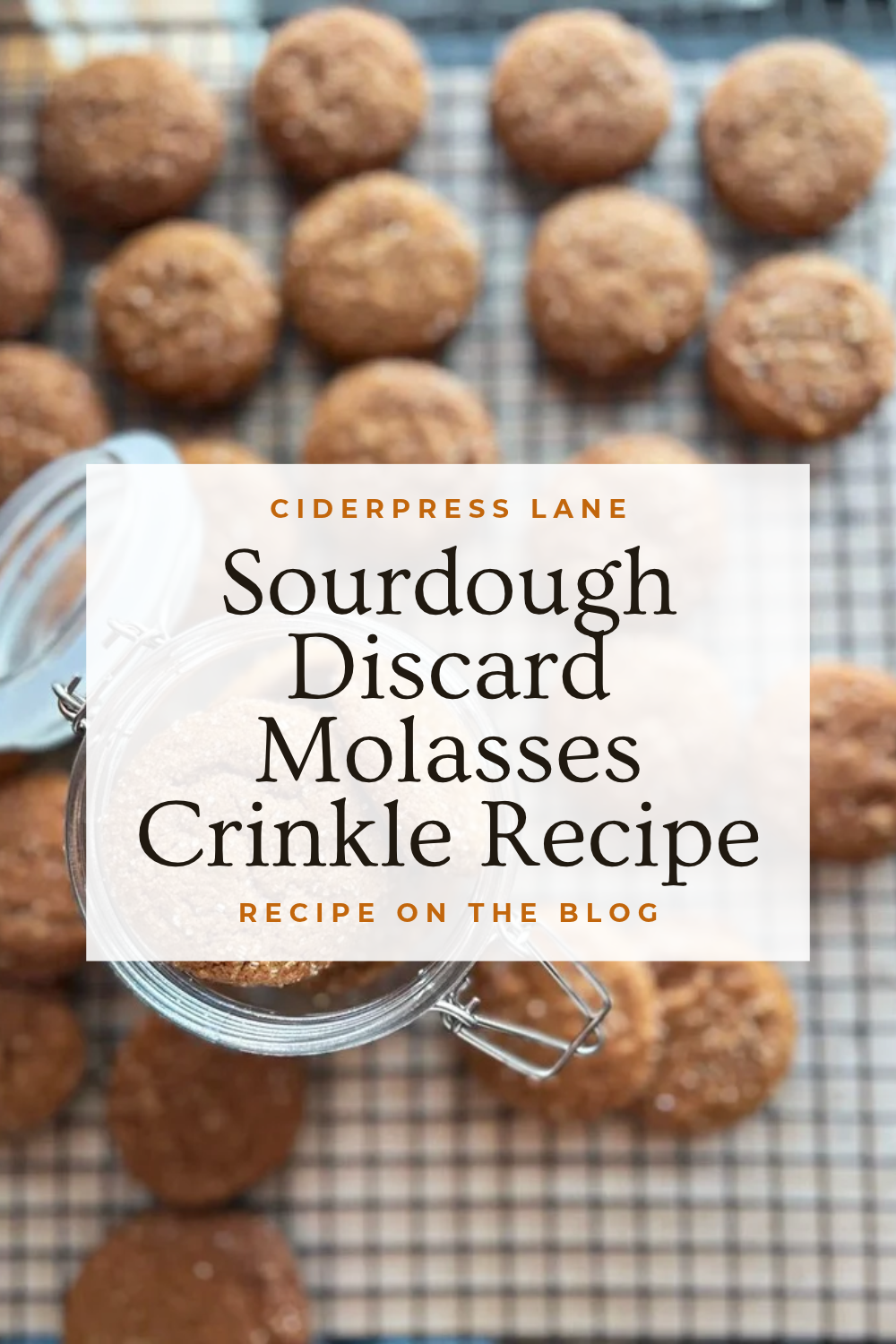 fun cookies for fall or winter or cozy seasons