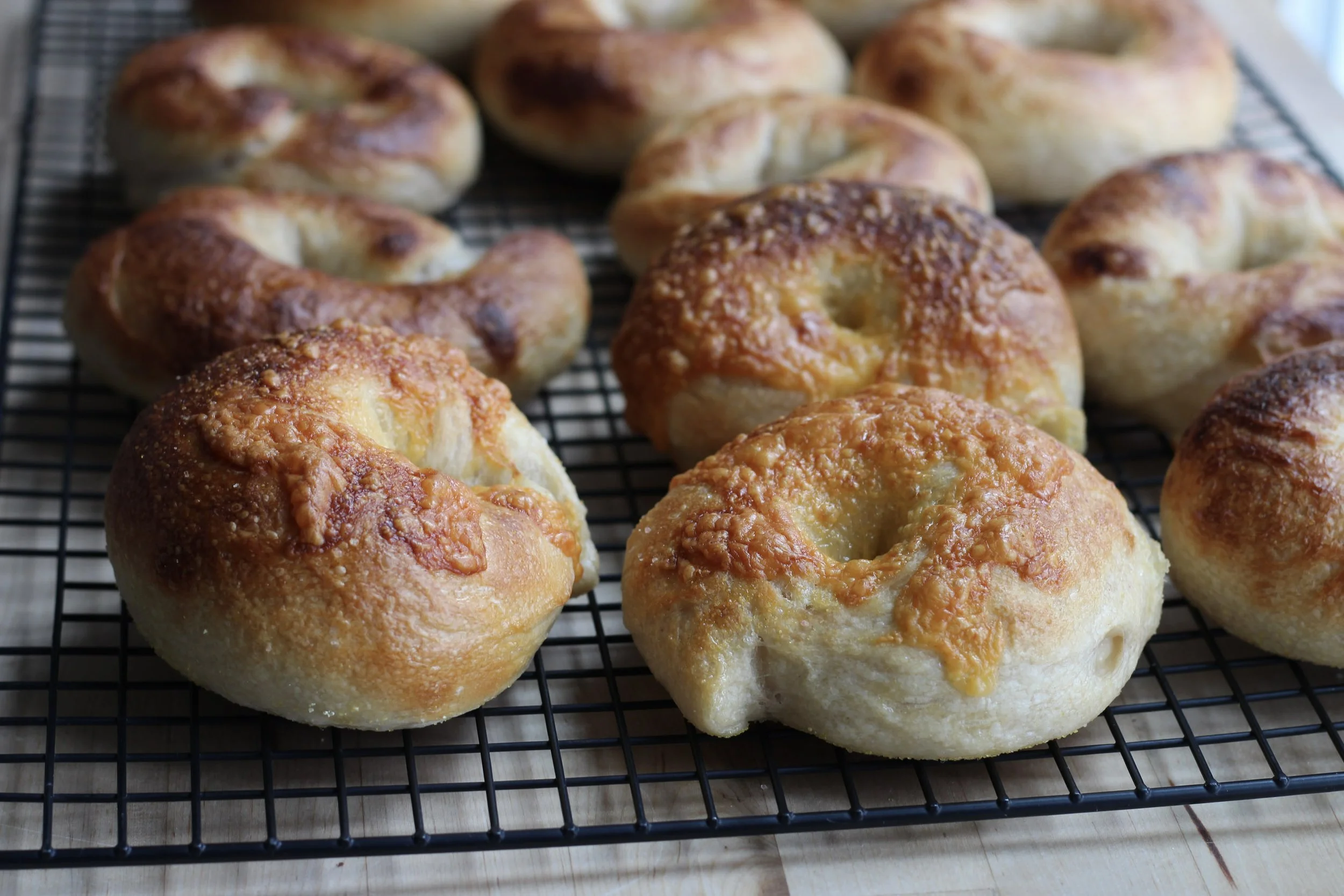 delicious cheese sourdough bagels