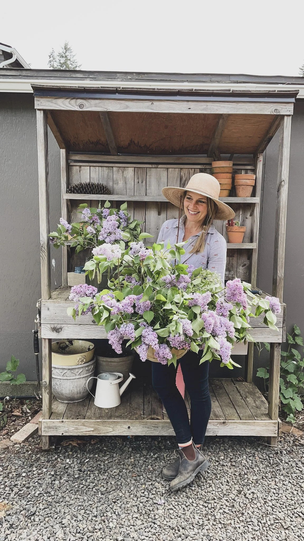 How to Care for your Lilacs