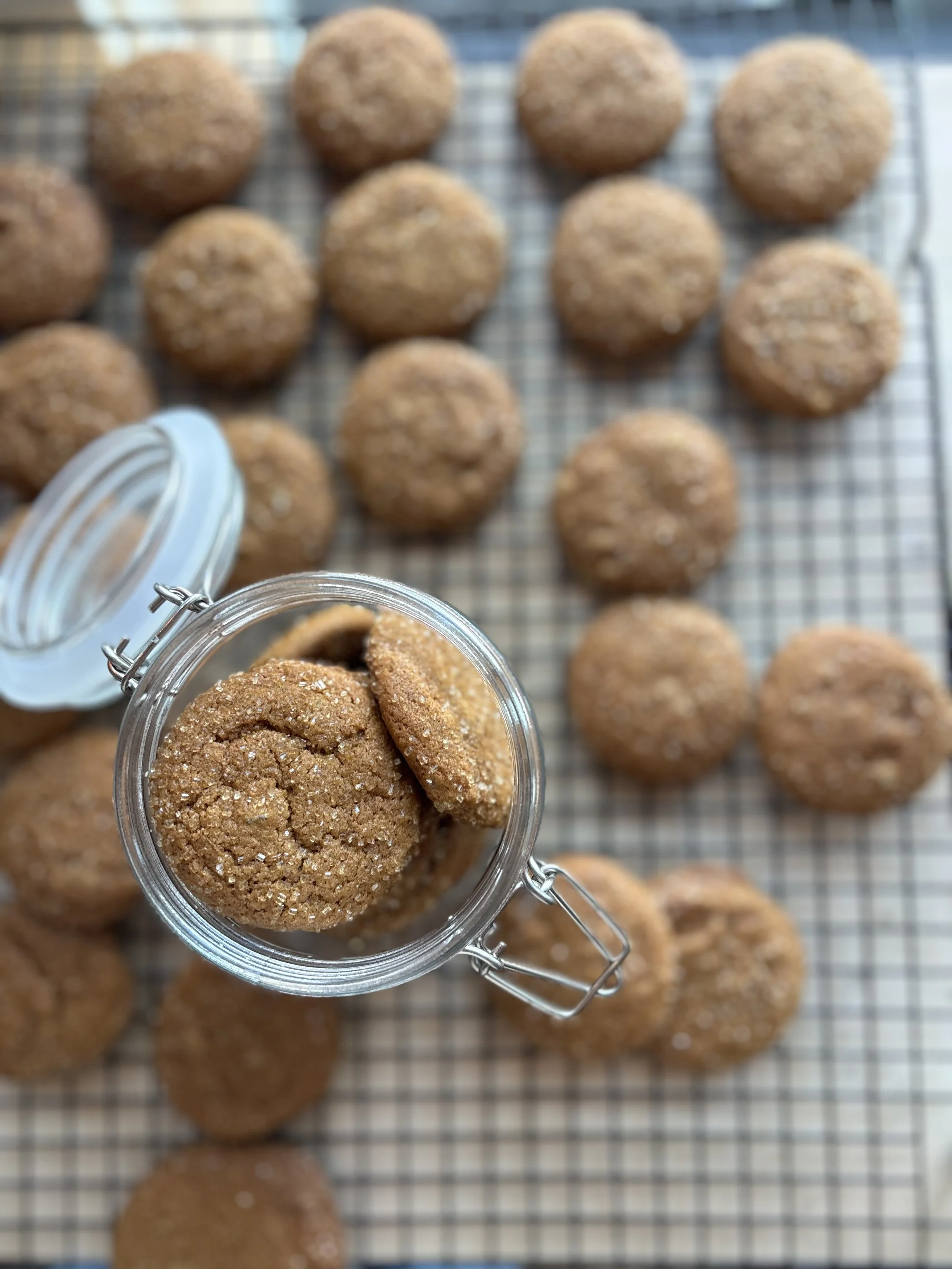 holiday cooke sourdough sordough siourod discrard discard cookie