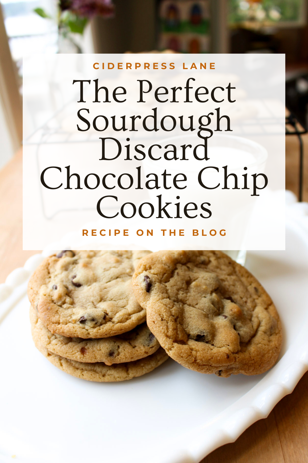 Delicious and Chewy Sourdough Chocolate Chip Cookies